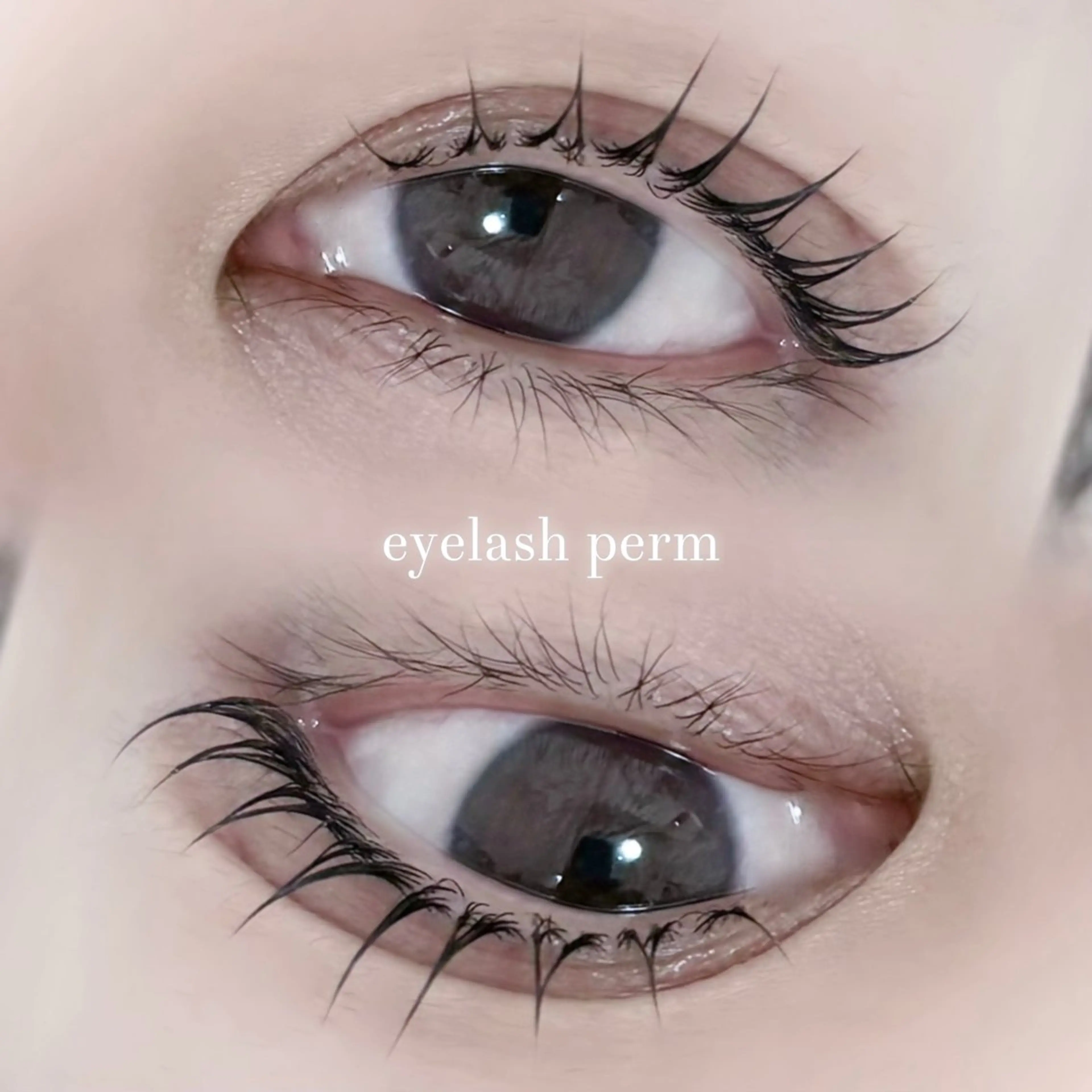 マツエク・マツパ Cカール ︎︎ rara 🐰🎀のマツエク・マツパデザイン