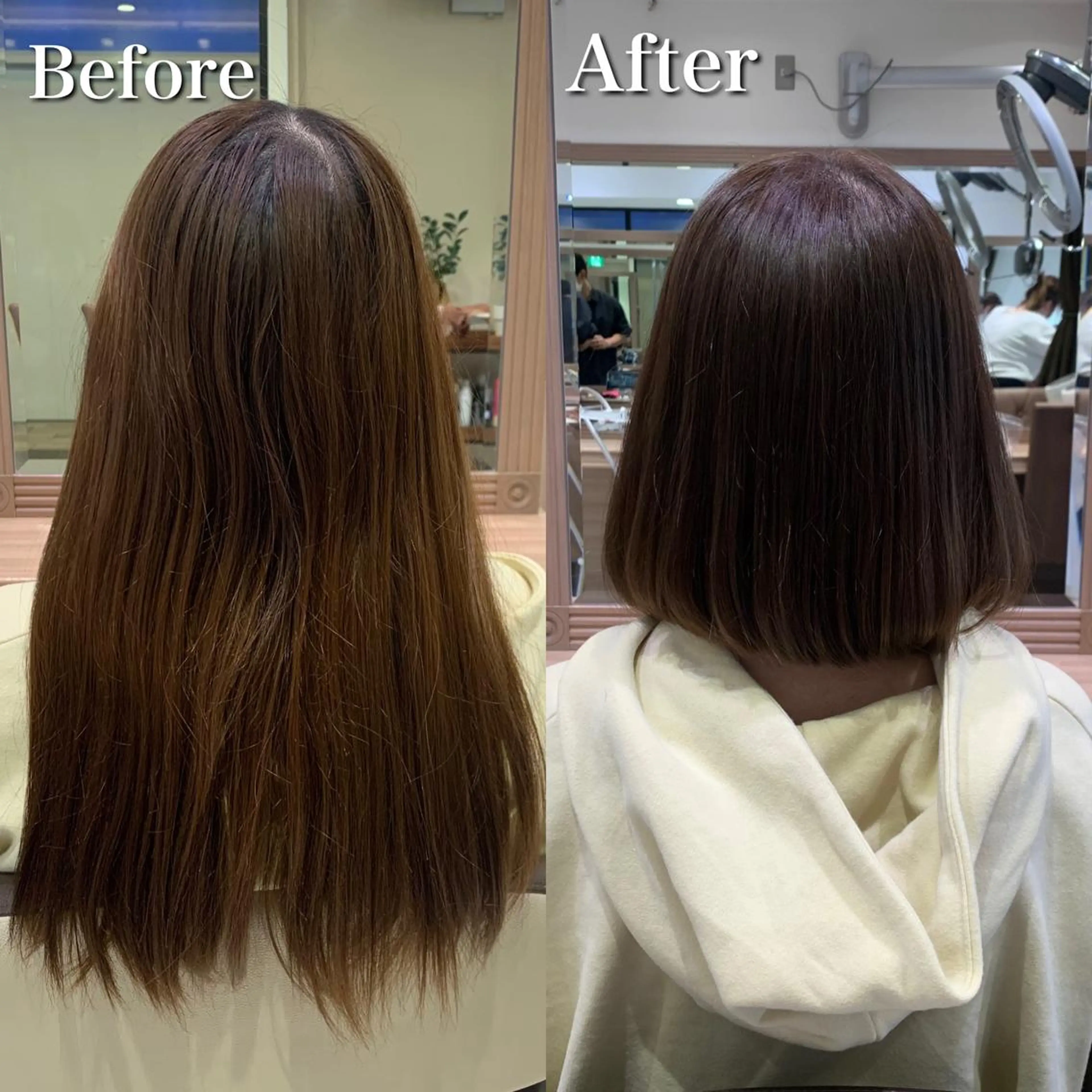 ショート カット 縮毛矯正 トリートメント ショート、ボブ/ 川鍋薫のヘアスタイル