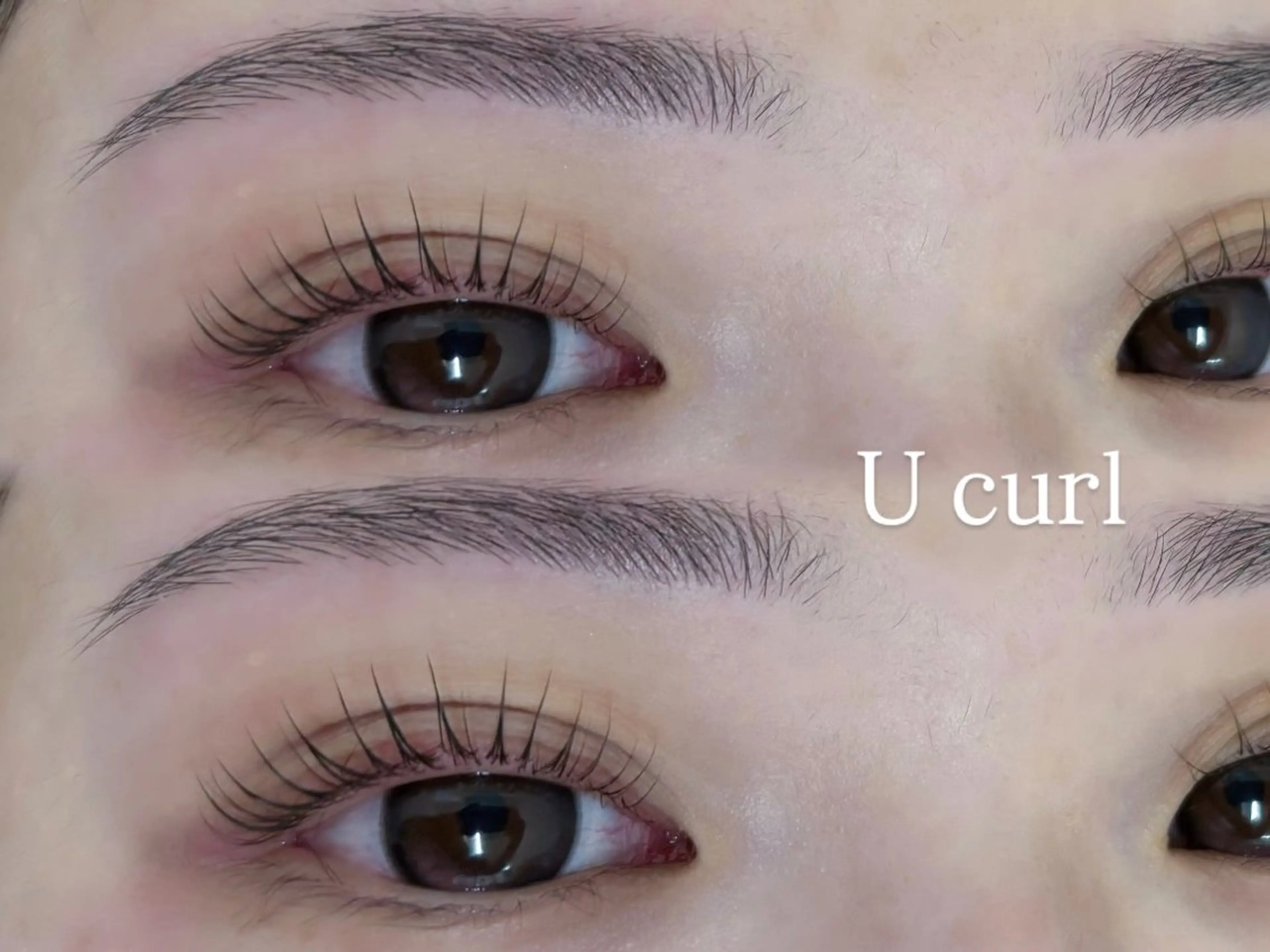 マツエク・マツパ 眉毛アイブロウ&まつ毛パーマiena渋谷/パリジェンヌ/眉毛まつげパーマ/眉毛アイブロウ所属・iena渋谷 【練習モデル募集】のマツエク・マツパデザイン