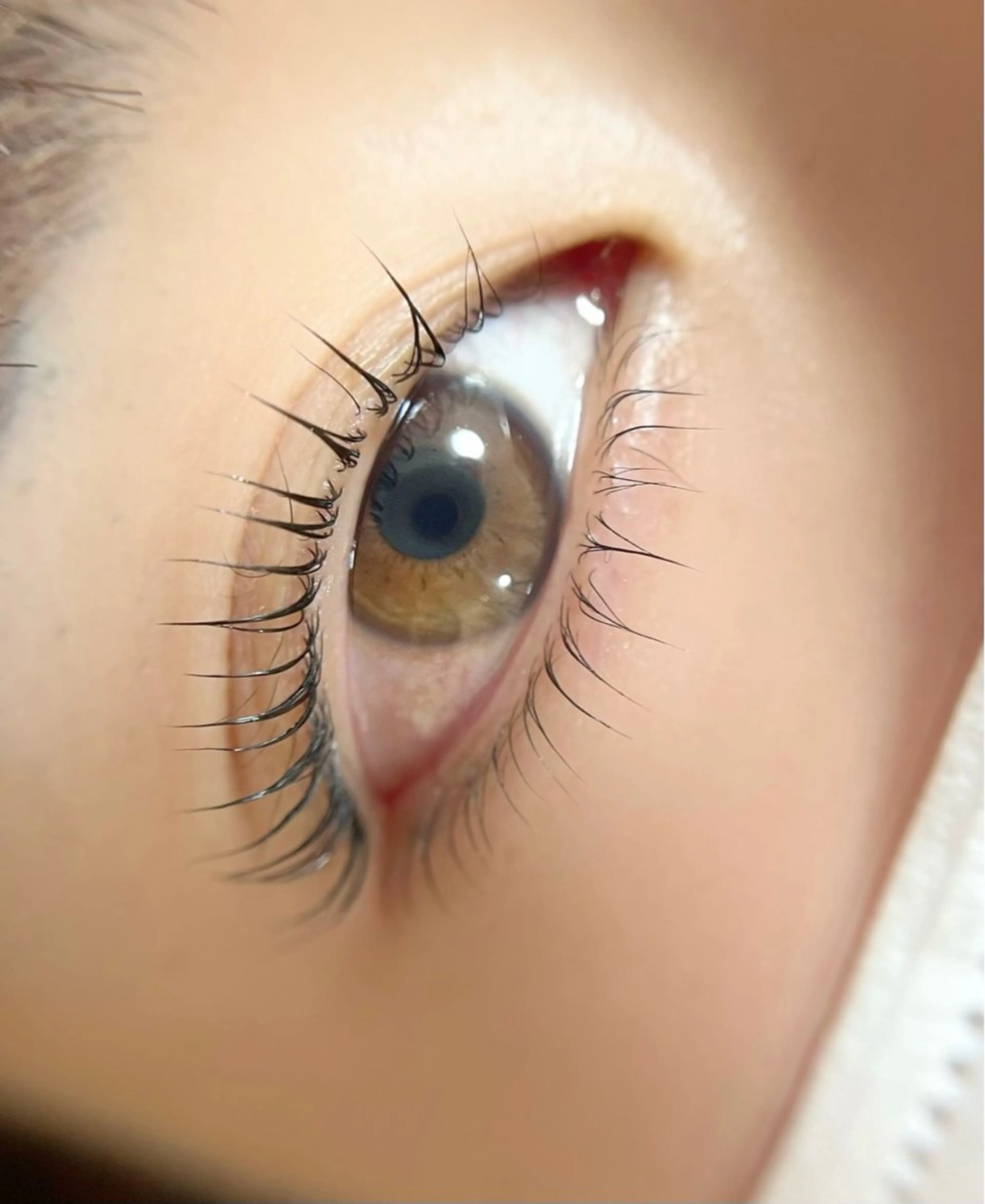 ⭐️トリートメントまつげパーマ（上下）の写真