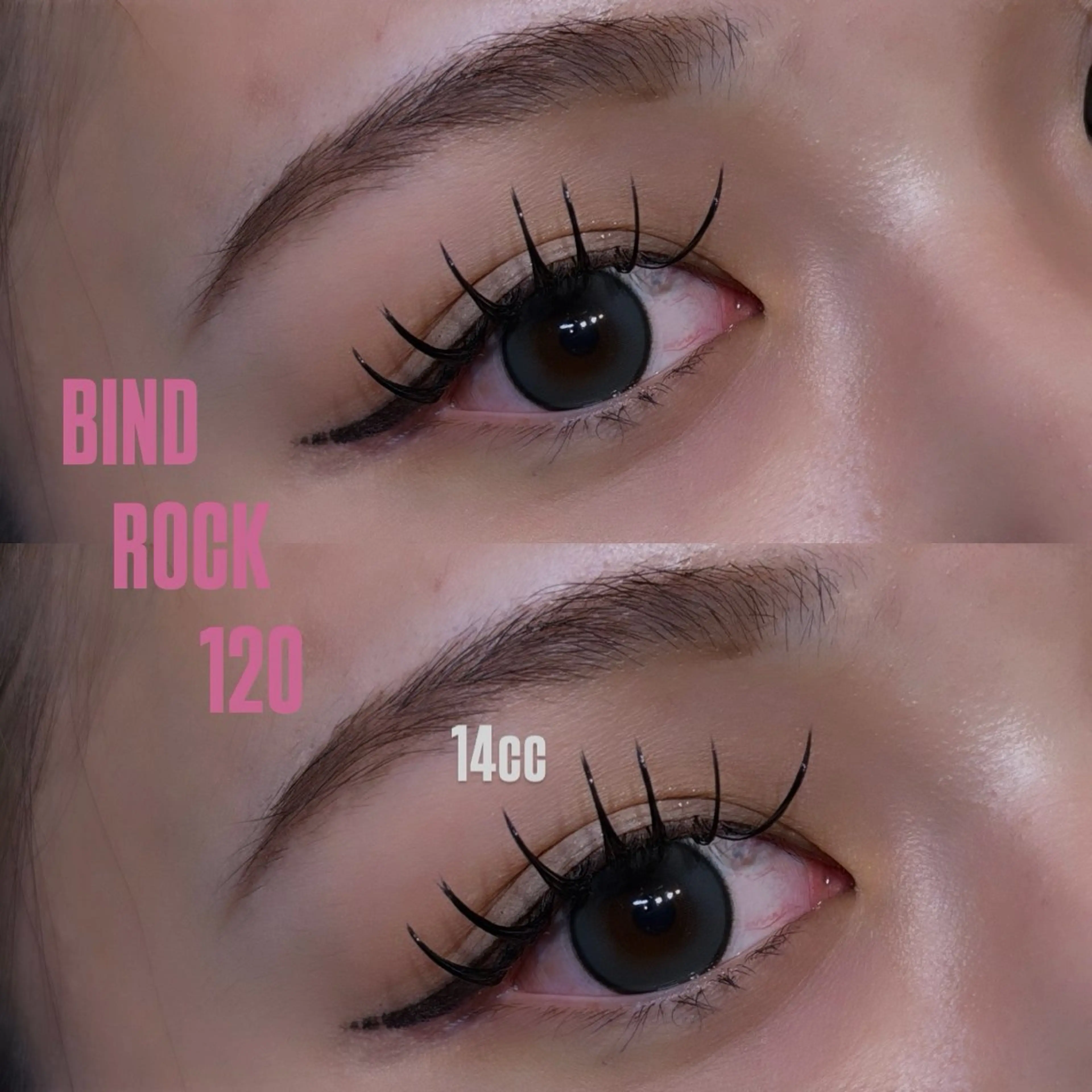 バインドロック120束🫧コーティング付き🎀の写真