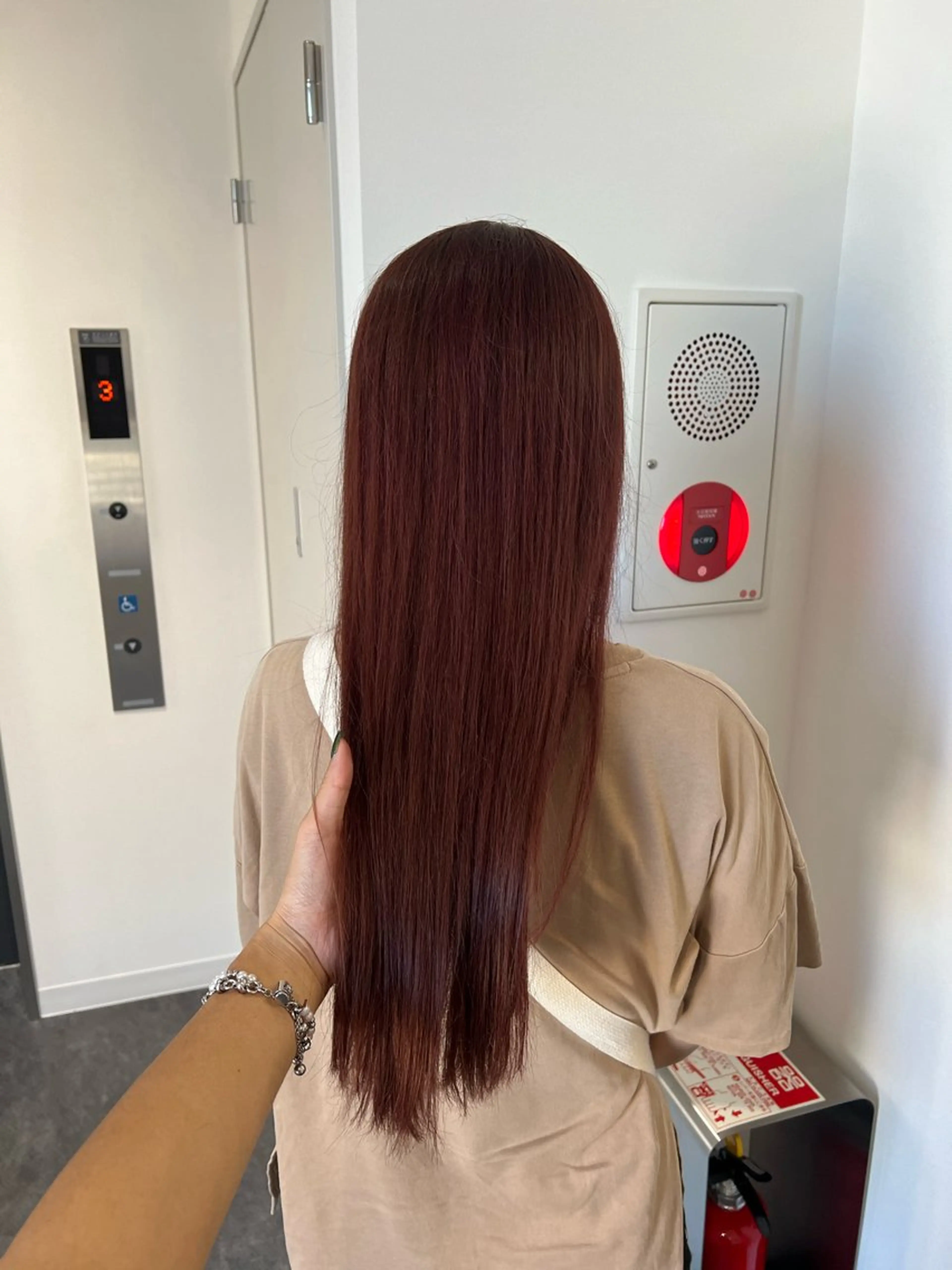 カラー ひなた-YUCCA- elua⭐️のヘアスタイル