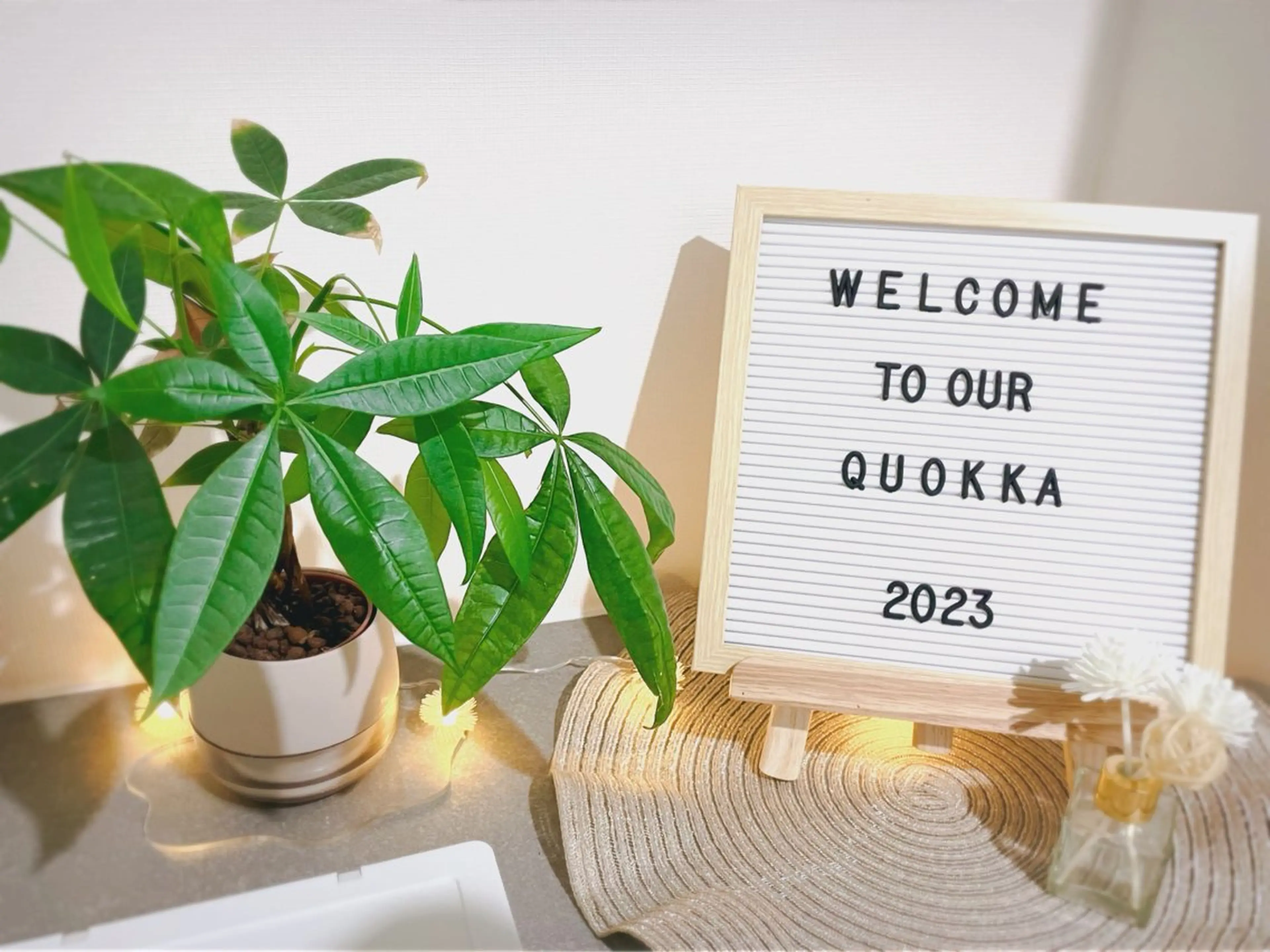 Quokka ✴︎ あま市甚目寺のエステ・リラクイメージ