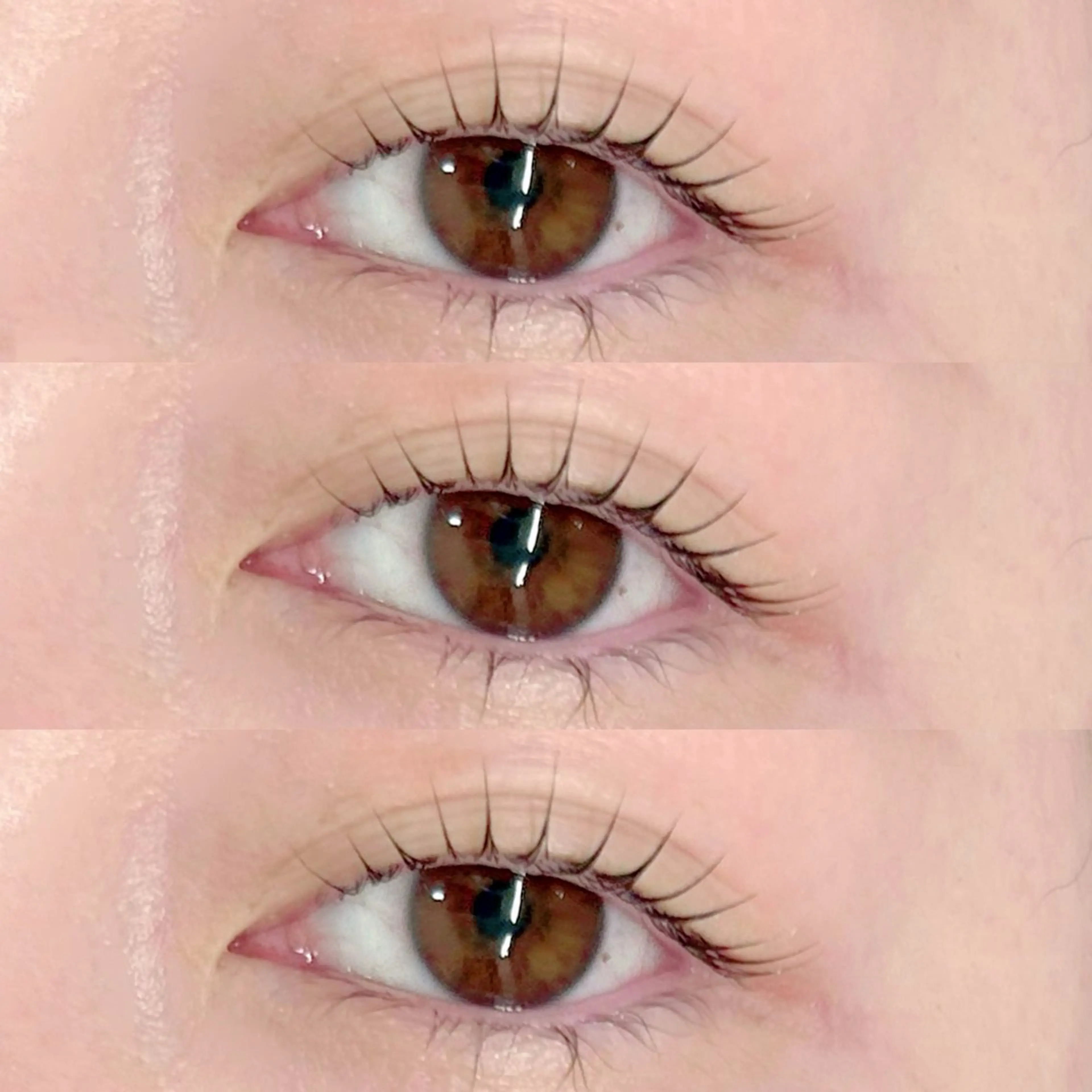 🩵束感まつげパーマ🩵¥8000→¥5000の写真