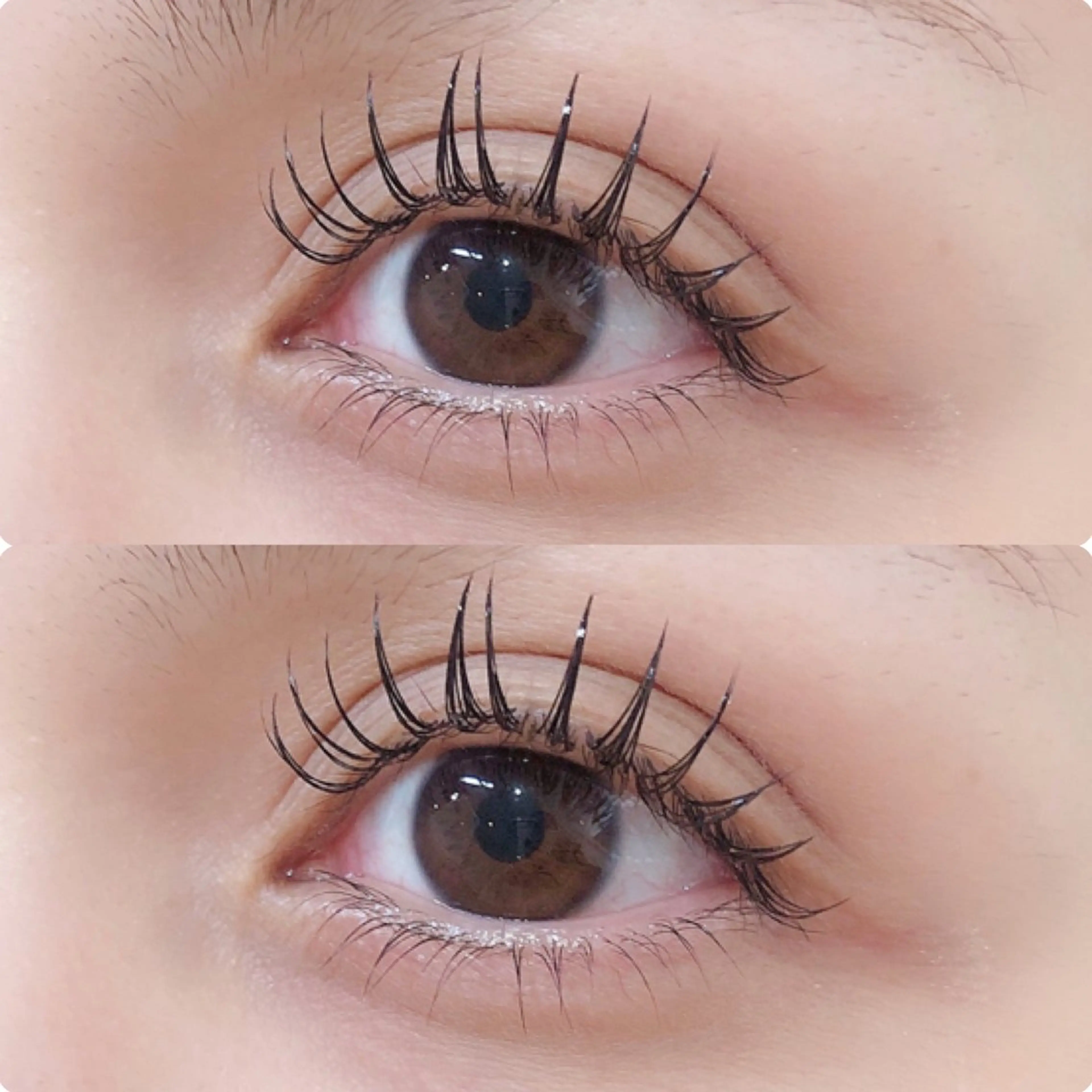 平日限定☑︎💛Wフラット120本(オフなし)💛の写真