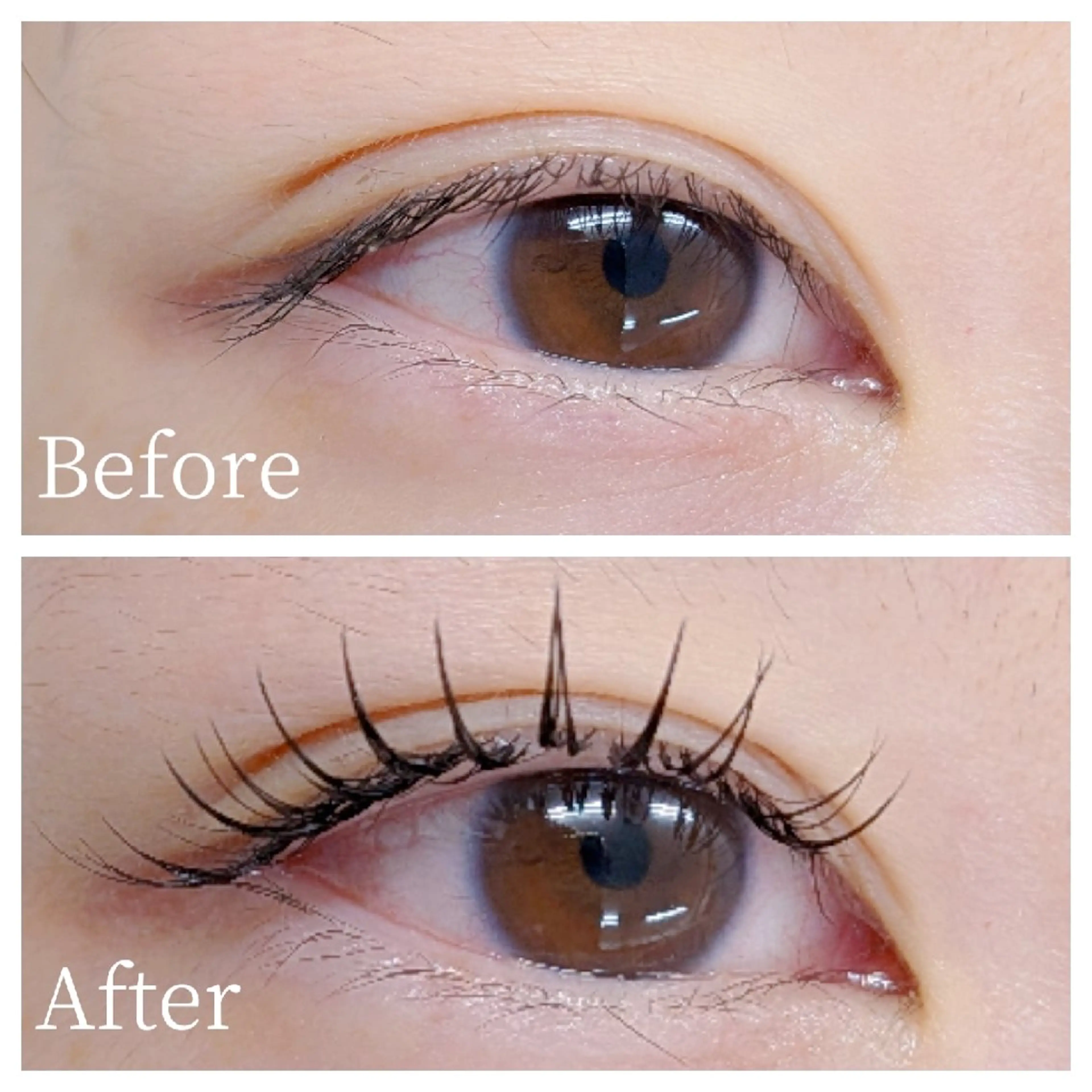 フラットラッシュ80本まで。&Healthyモニター募集!の写真