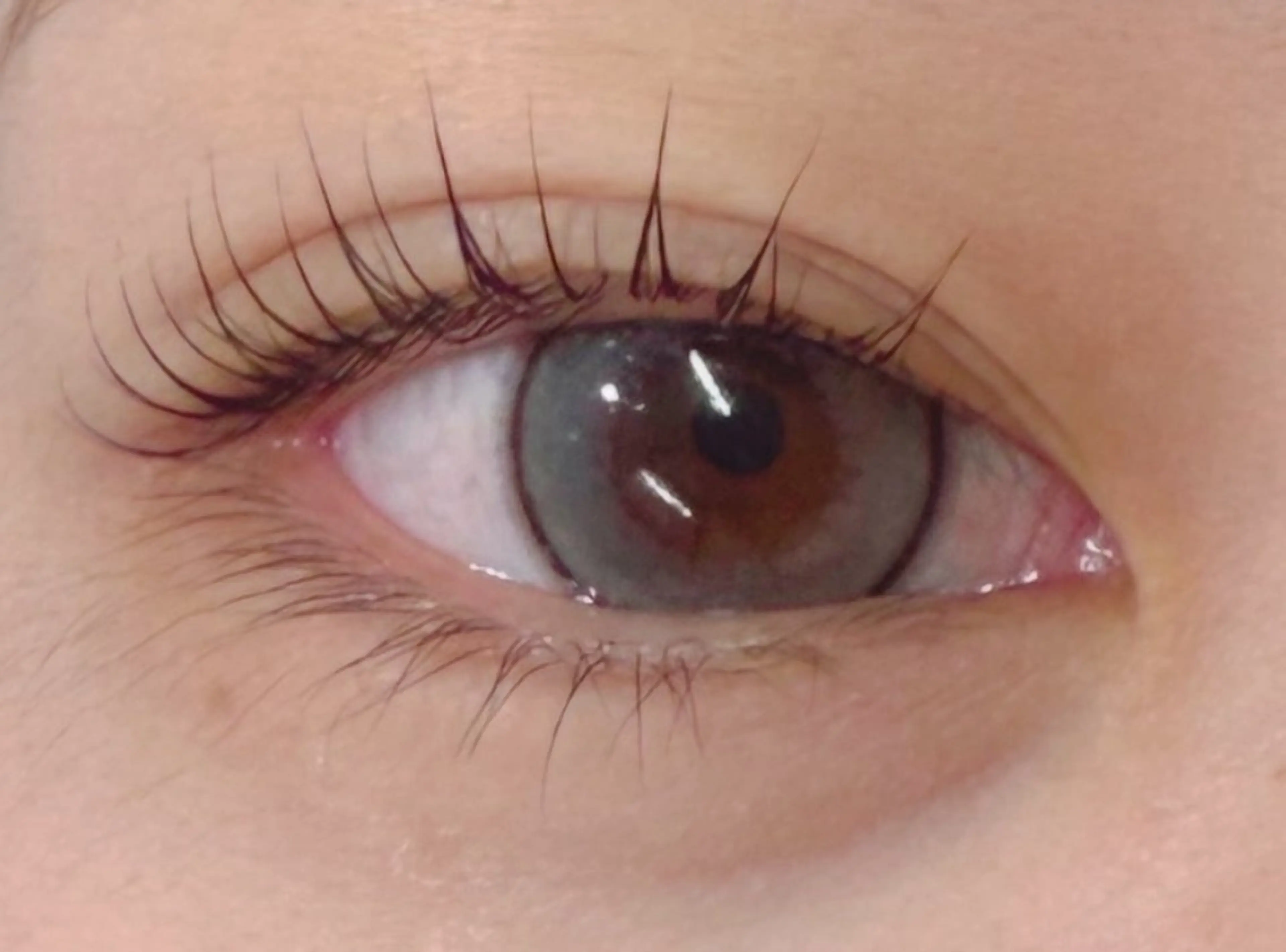 マツエク・マツパ ココラッシュ 町屋店のマツエク・マツパデザイン