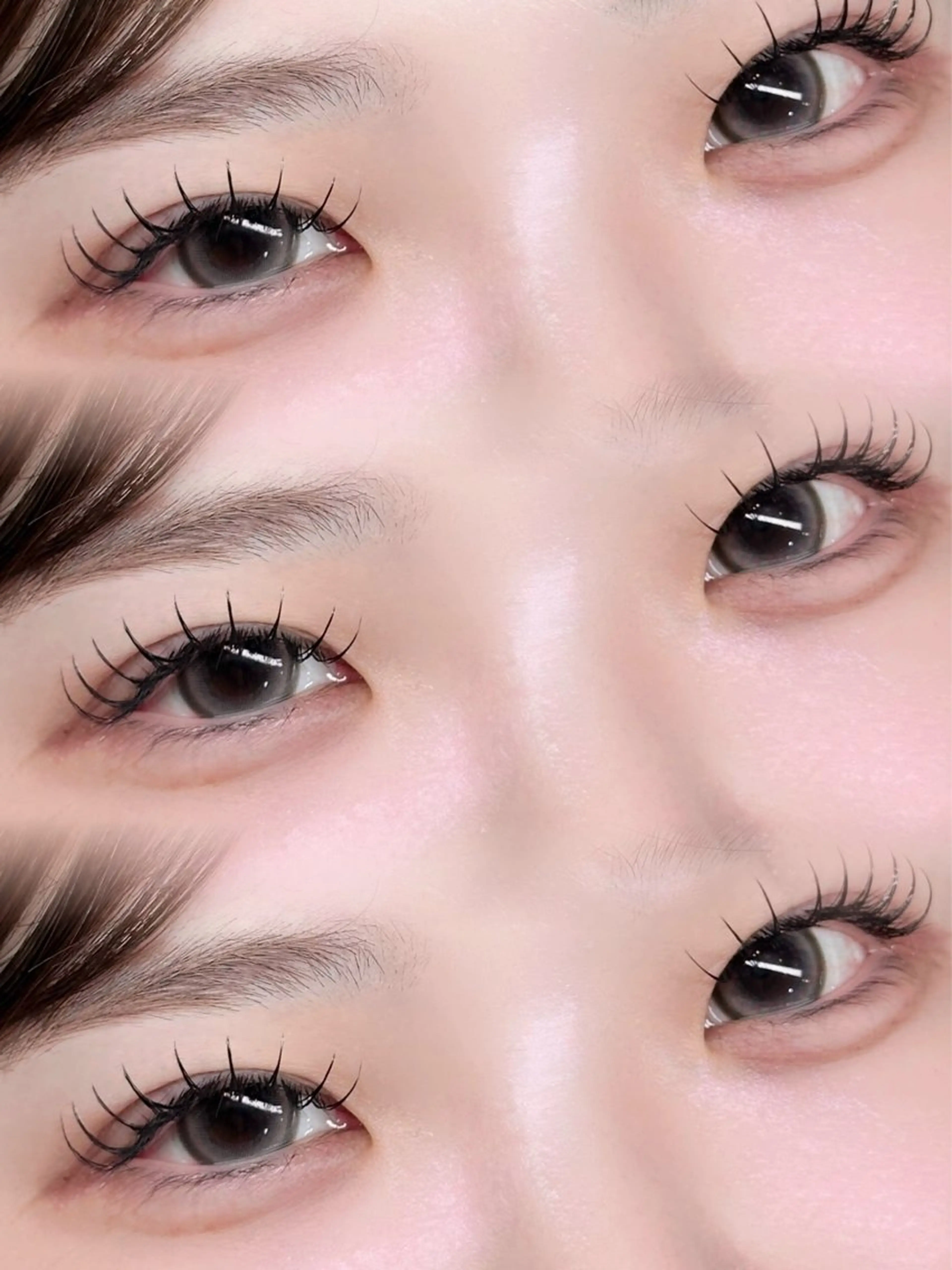 フラットラッシュ100本🐈🤎の写真