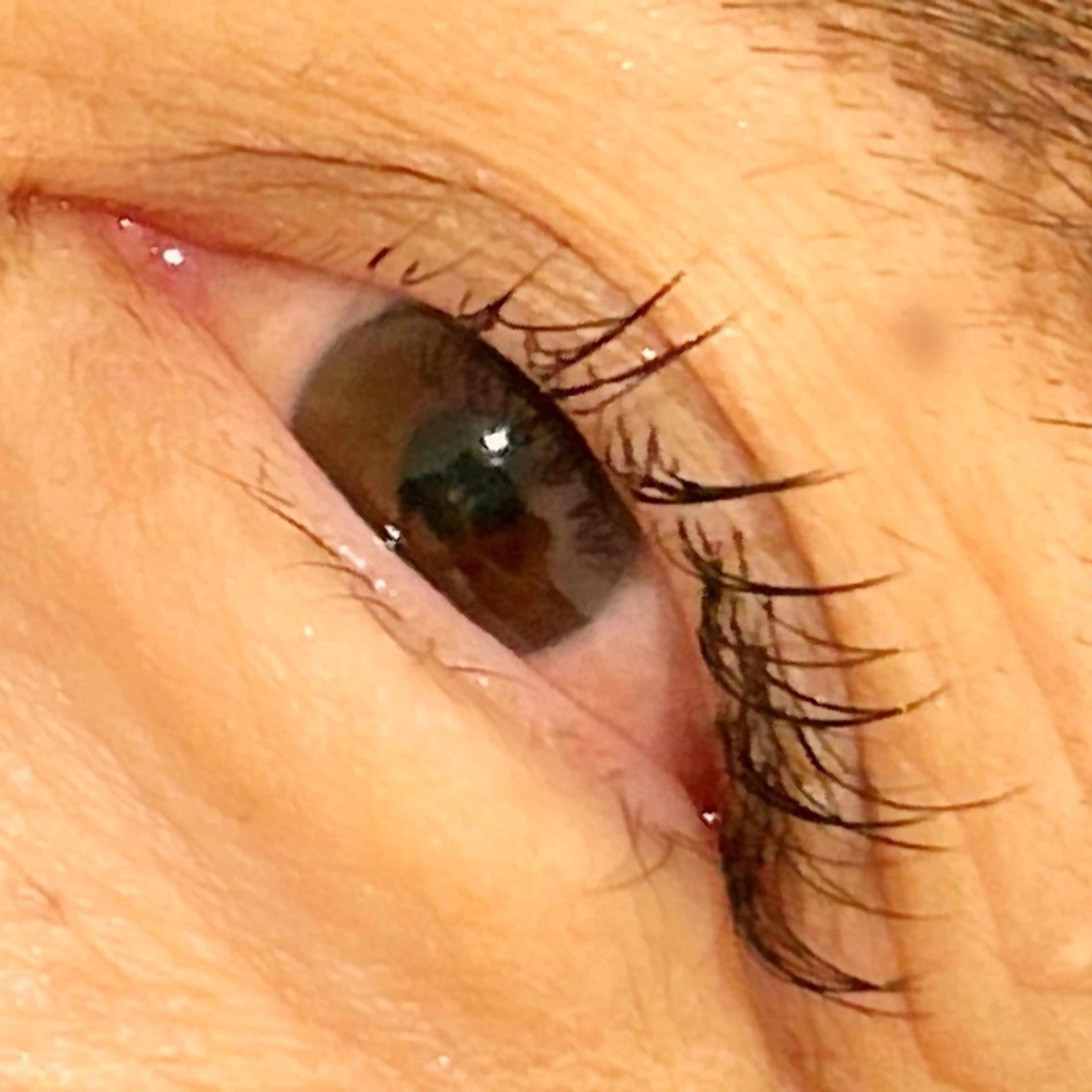 マツエク・マツパ albero di glicine 【アルベロ・ディ・グリーチネ】所属・。 AKARIのマツエク・マツパデザイン