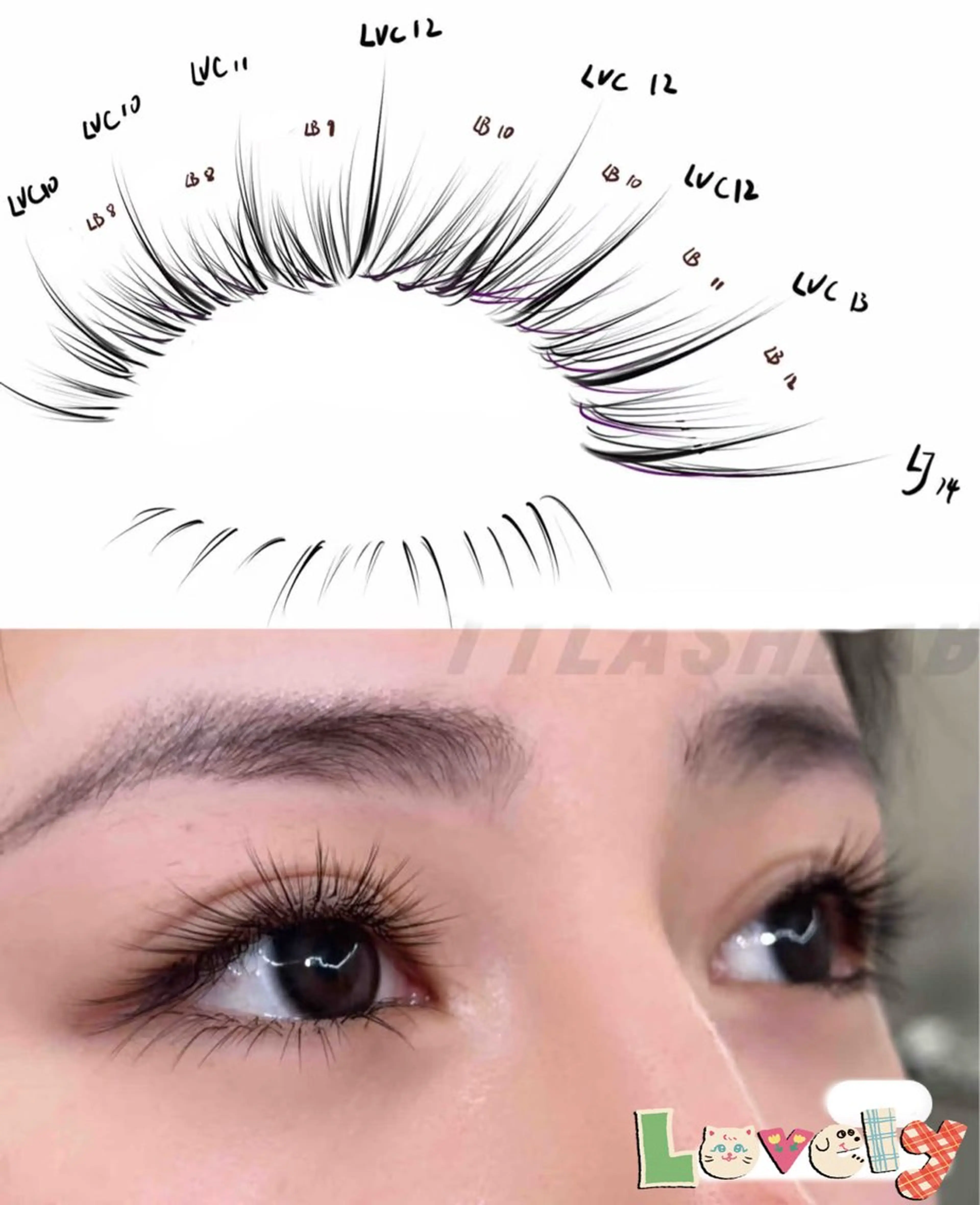 マツエク・マツパ LEDマツエク•眉毛 まつげパーマのマツエク・マツパデザイン