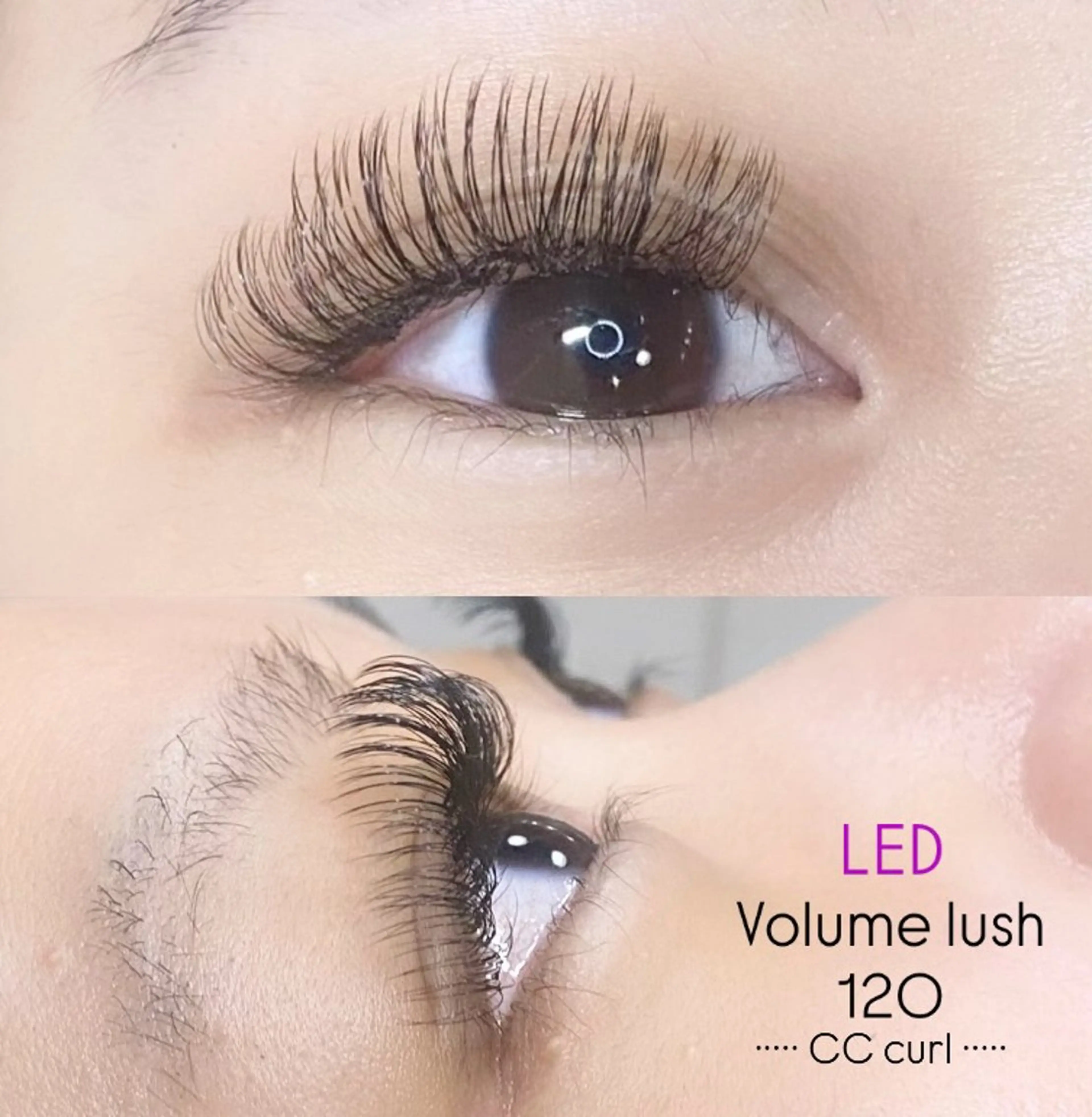 マツエク・マツパ LEDエクステ専門店 Fedis 京橋のマツエク・マツパデザイン