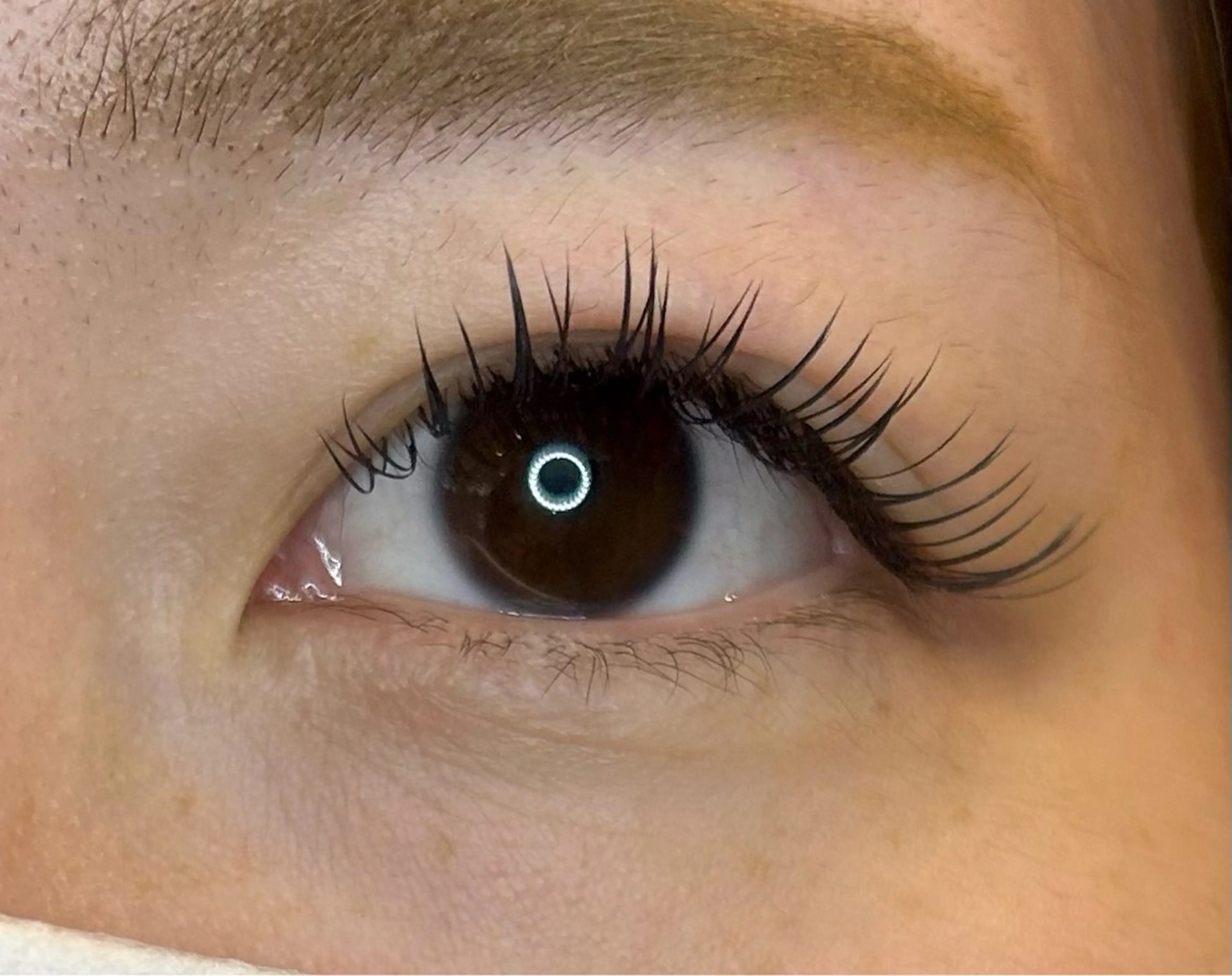 最高級フラットラッシュ150本🎀✨オフ込みコーティング付きの写真