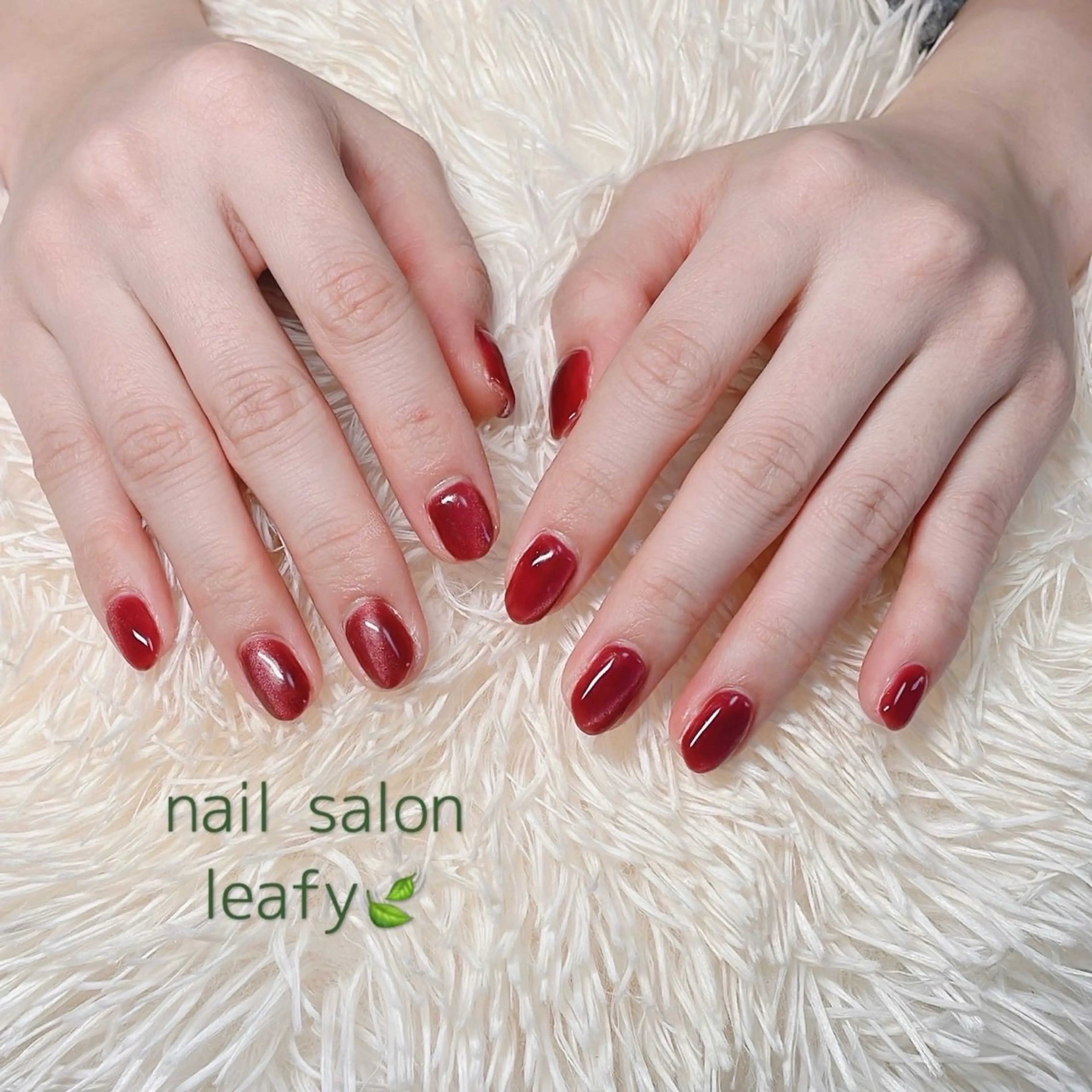 ネイル マグネットネイル ワンカラーネイル ネイルサロン leafyのネイルデザイン