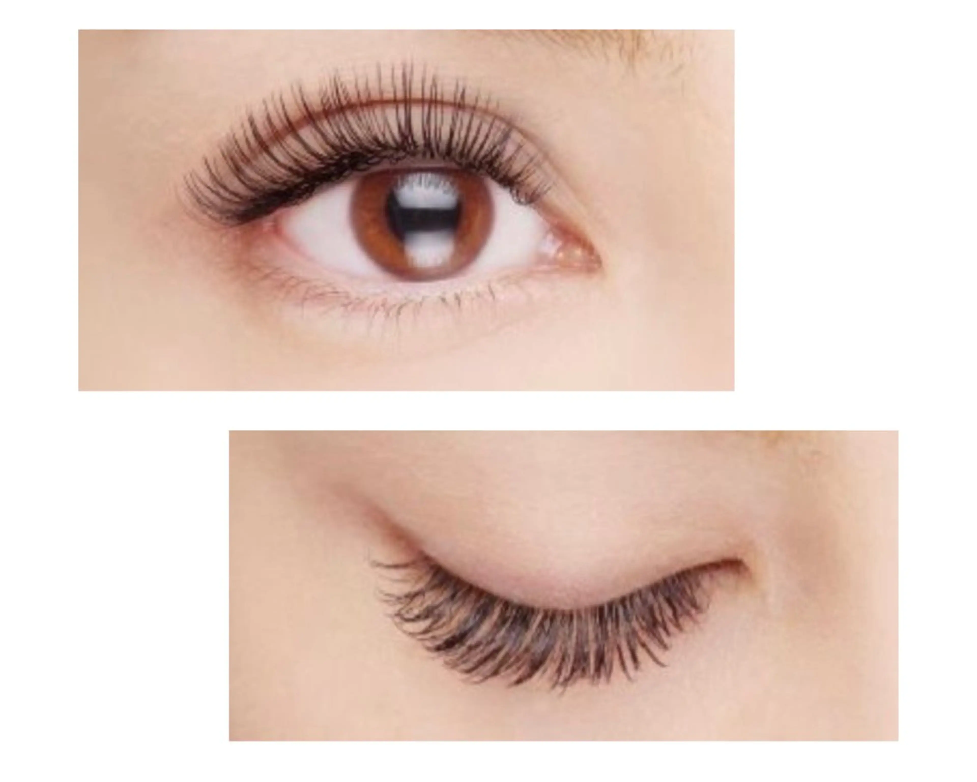 オードリーラッシュ/フラットマットラッシュ☆マツエク140本の写真