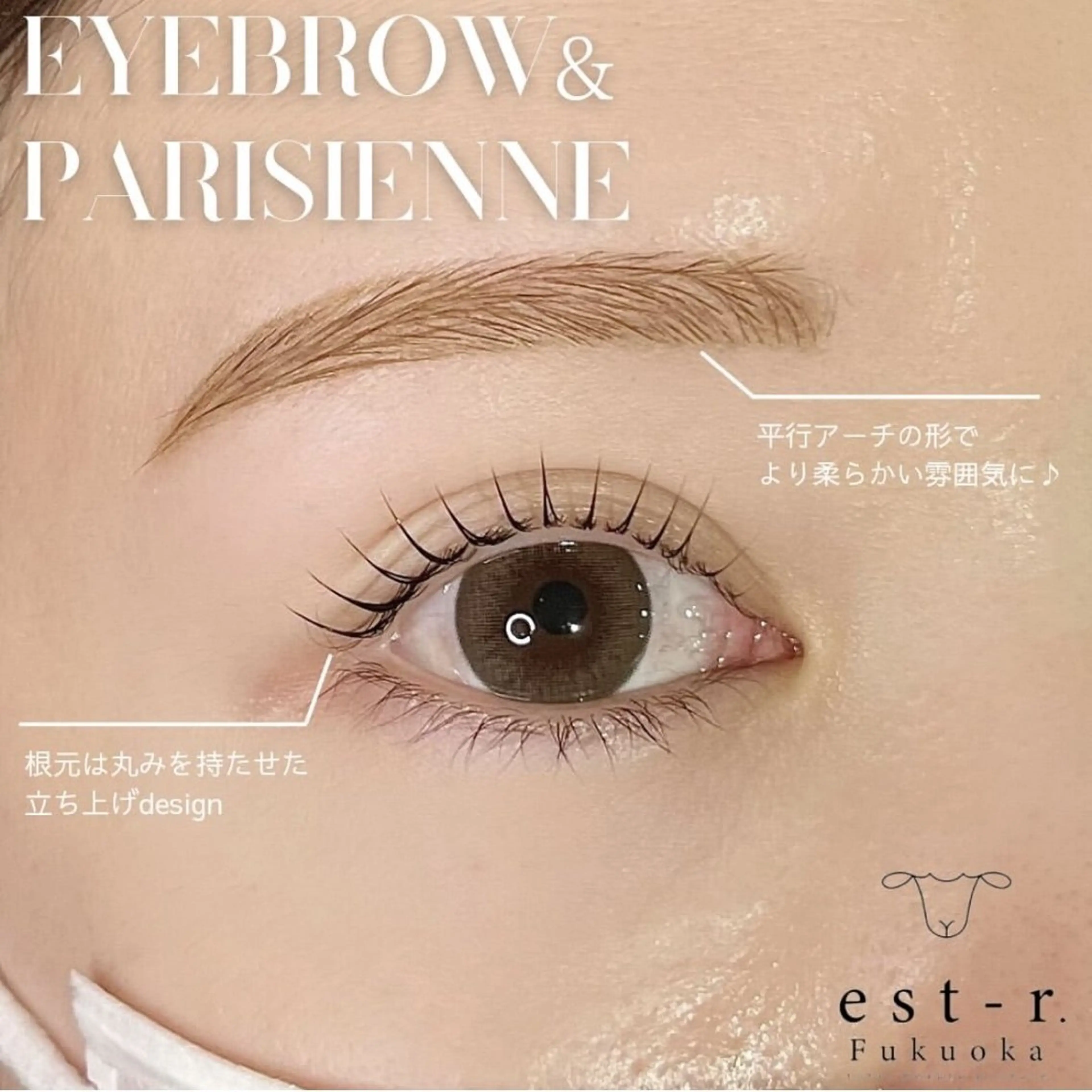 【人気NO.2👑】アイブロウ＋まつげパーマ（パリジェンヌ変更可）150分の写真