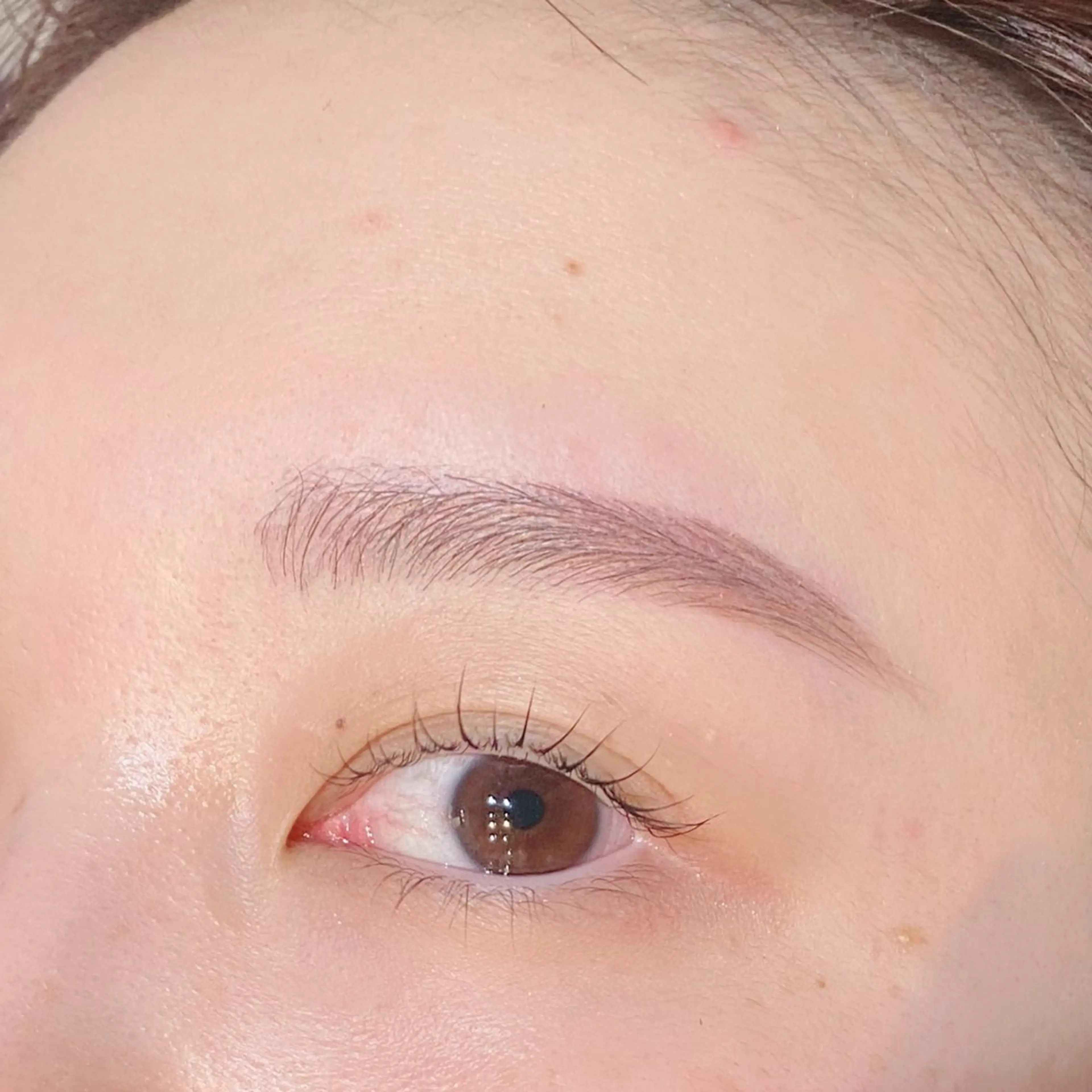 アイブロウ 眉カラー haru所属・眉サロンharu 表参道🤍岡本の眉毛・アイブロウイメージ