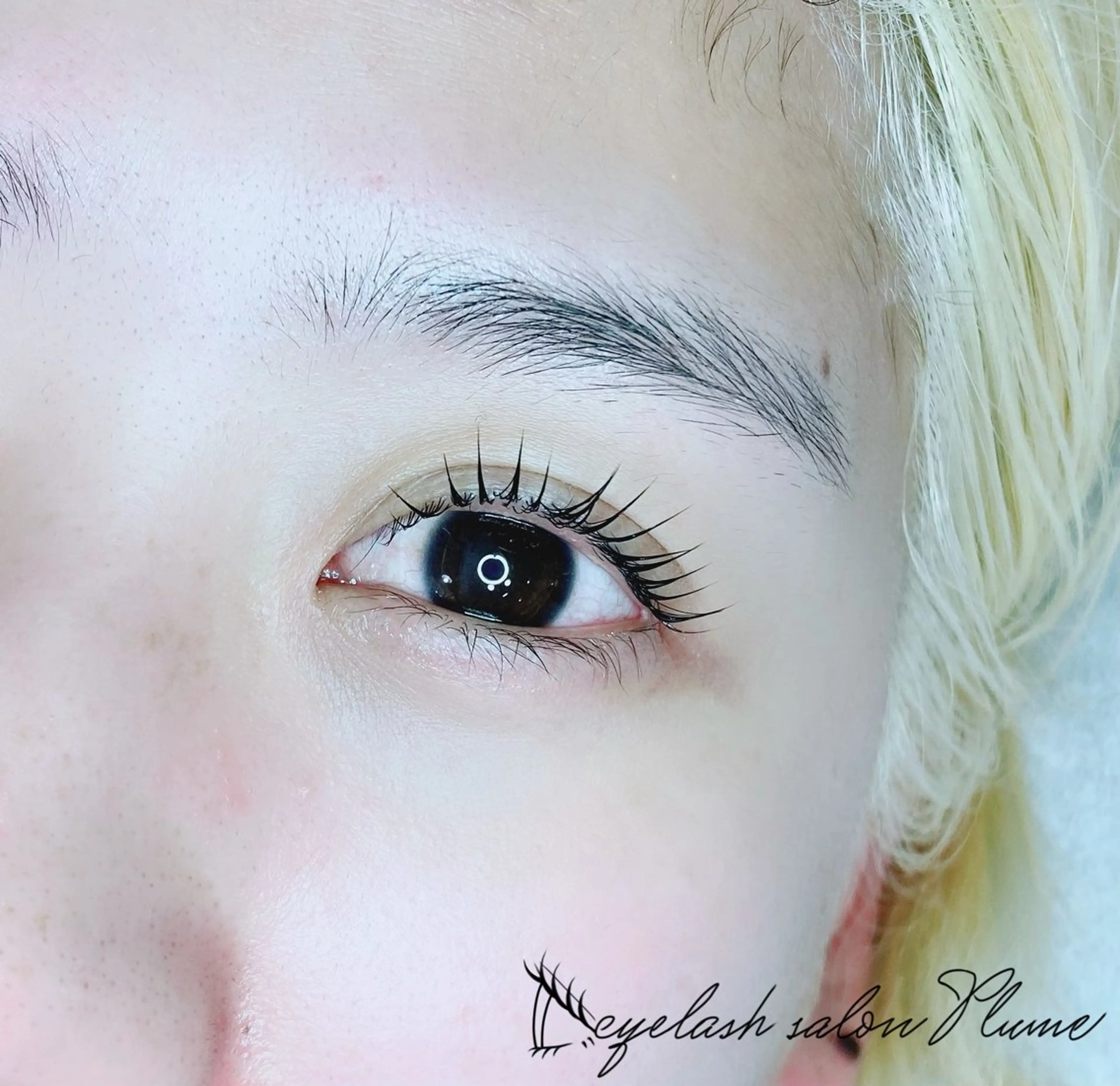 マツエク・マツパ マツパ まつ毛、毛穴ケア 専門サロンPlumeのマツエク・マツパデザイン