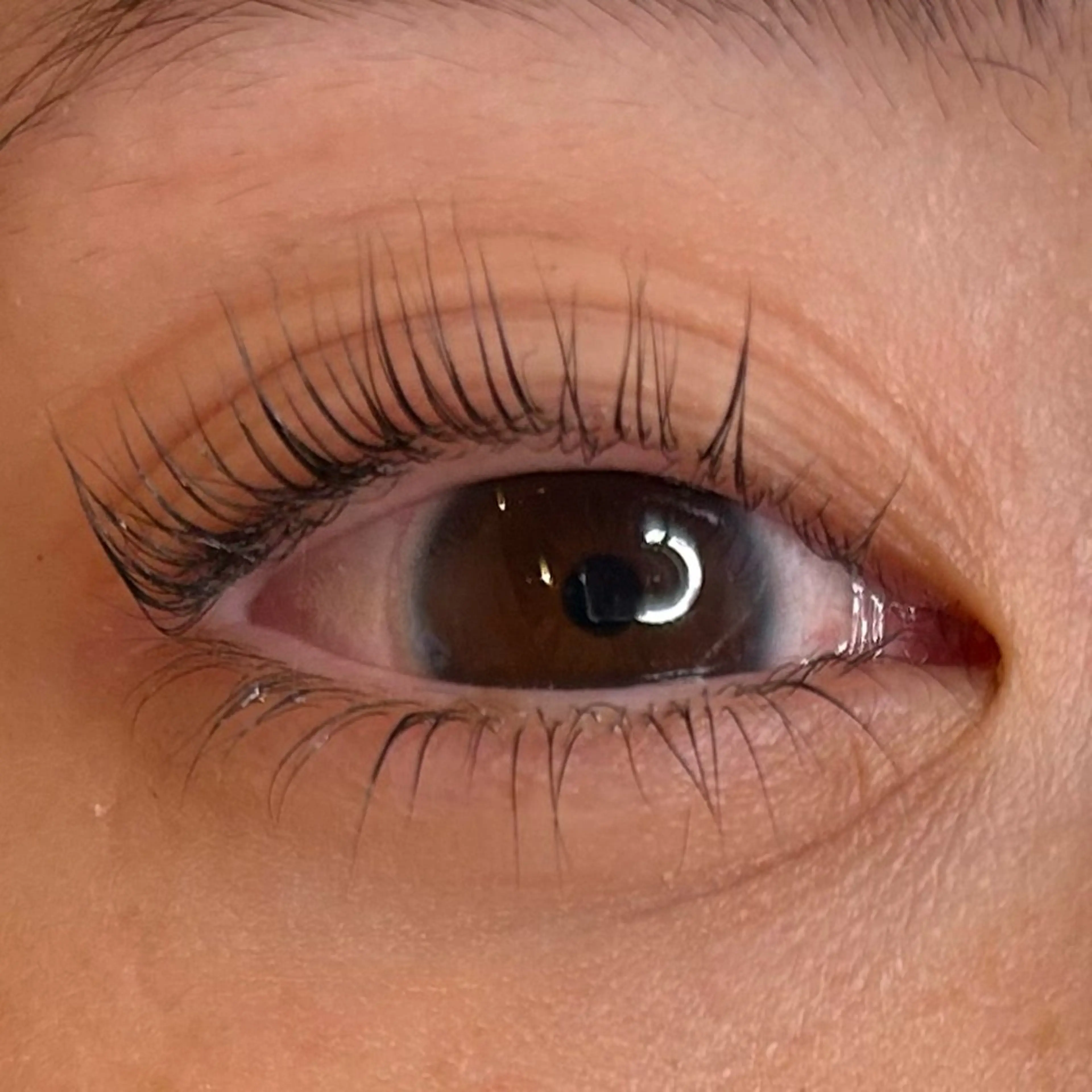 マツエク・マツパ パリジェンヌラッシュリフト soposilma 🧸今季OPENのマツエク・マツパデザイン