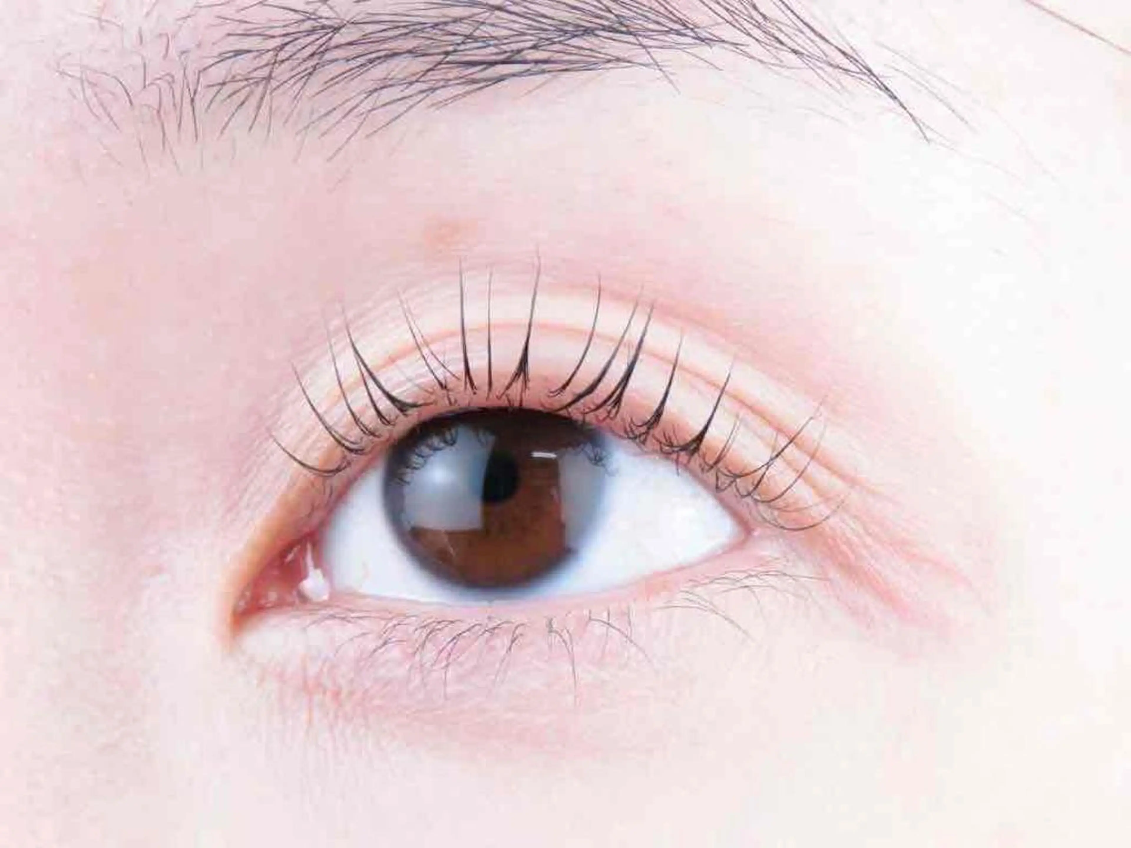 マツエク・マツパ マツパ R'ocoLush 恵比寿店江川のマツエク・マツパデザイン