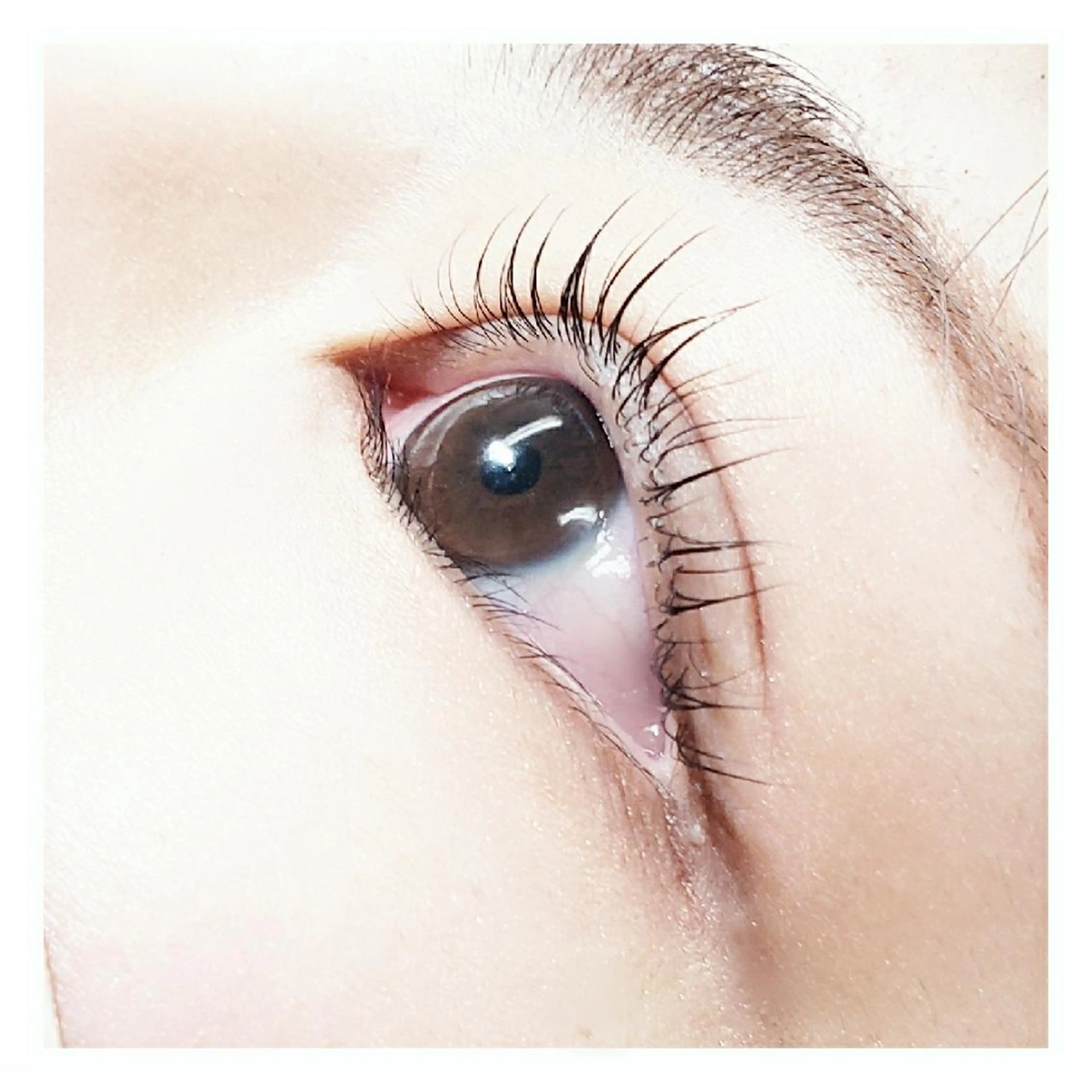 マツエク・マツパ マツパ Ricott EYELASH&NAIL所属・Inoue  Yukariのマツエク・マツパデザイン