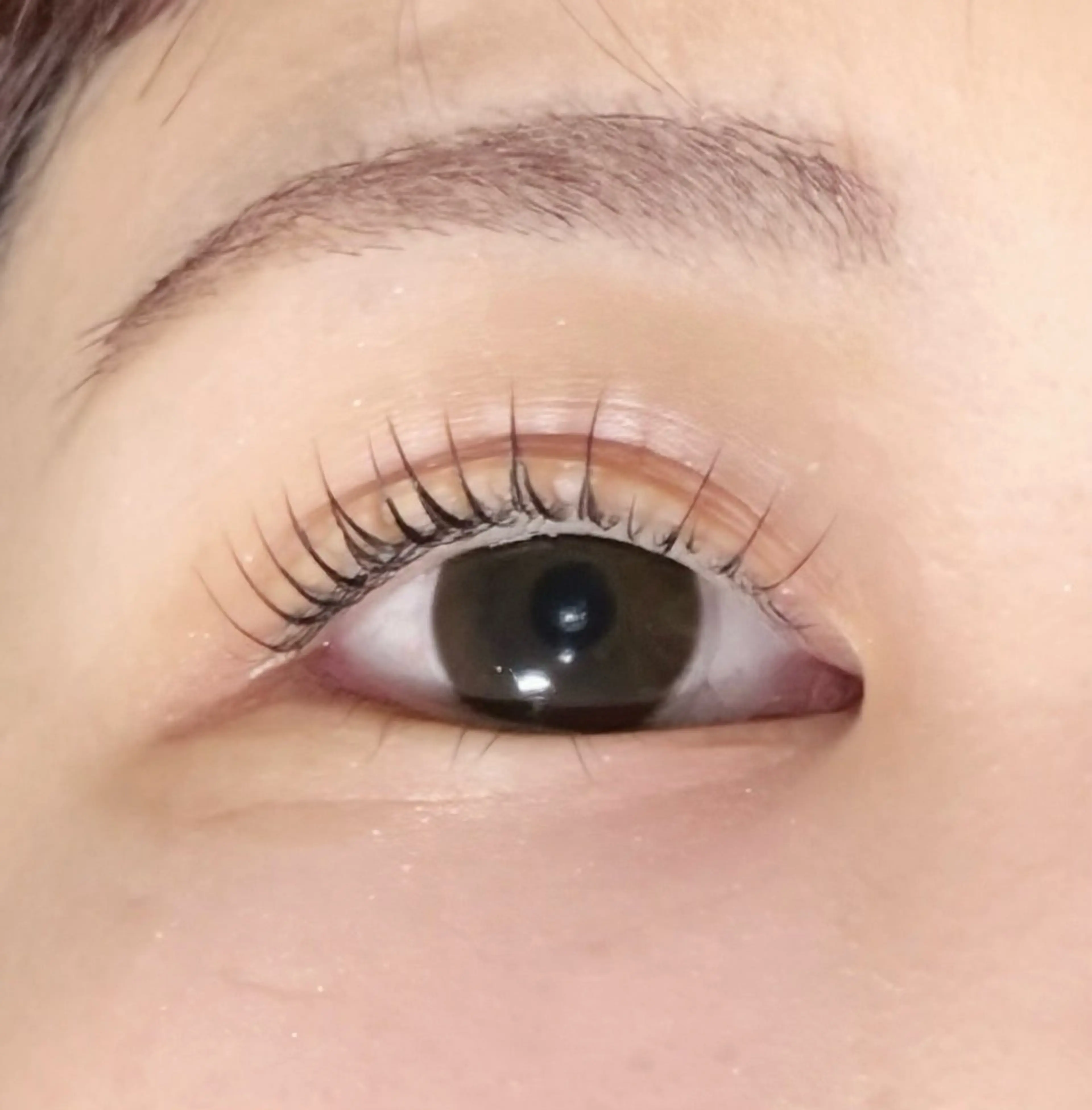 マツエク・マツパ マツパ RocoLush🍯 HINATA౨ৎ⋆ෆのマツエク・マツパデザイン