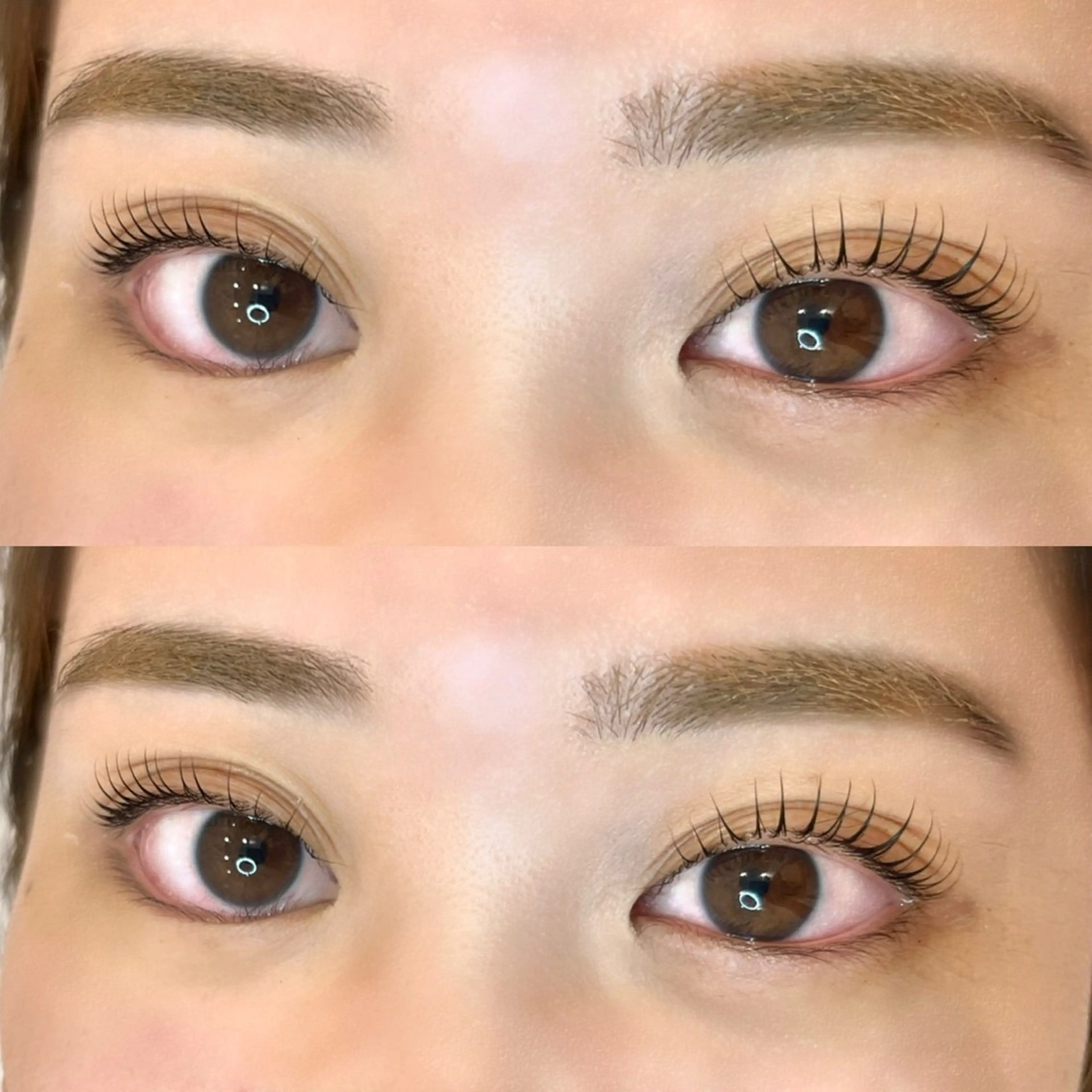 人気No.☝🏻set menu🎀 まつげパーマとアイブロウwaxの写真