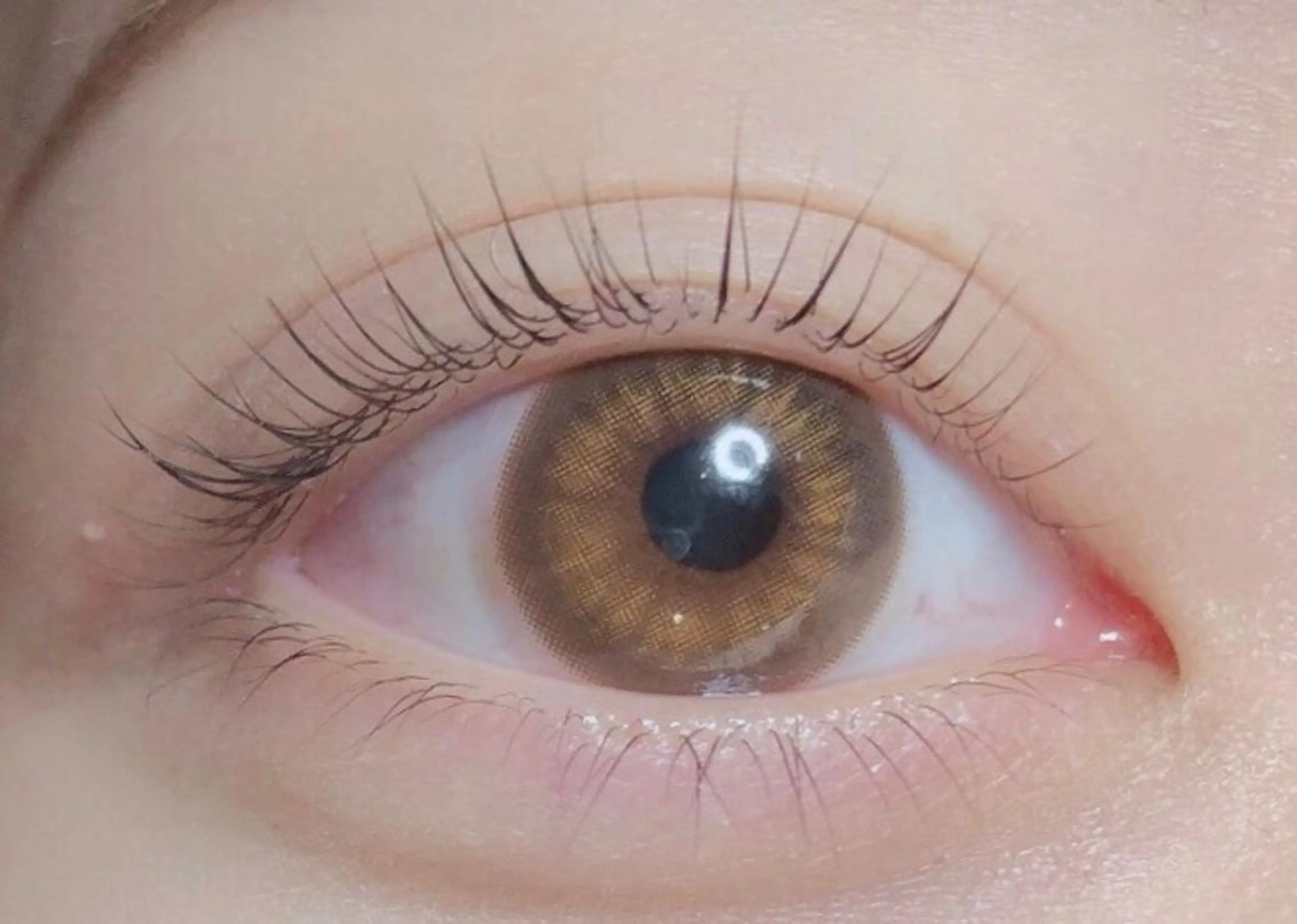 次世代まつ毛パーマ⭐︎の写真