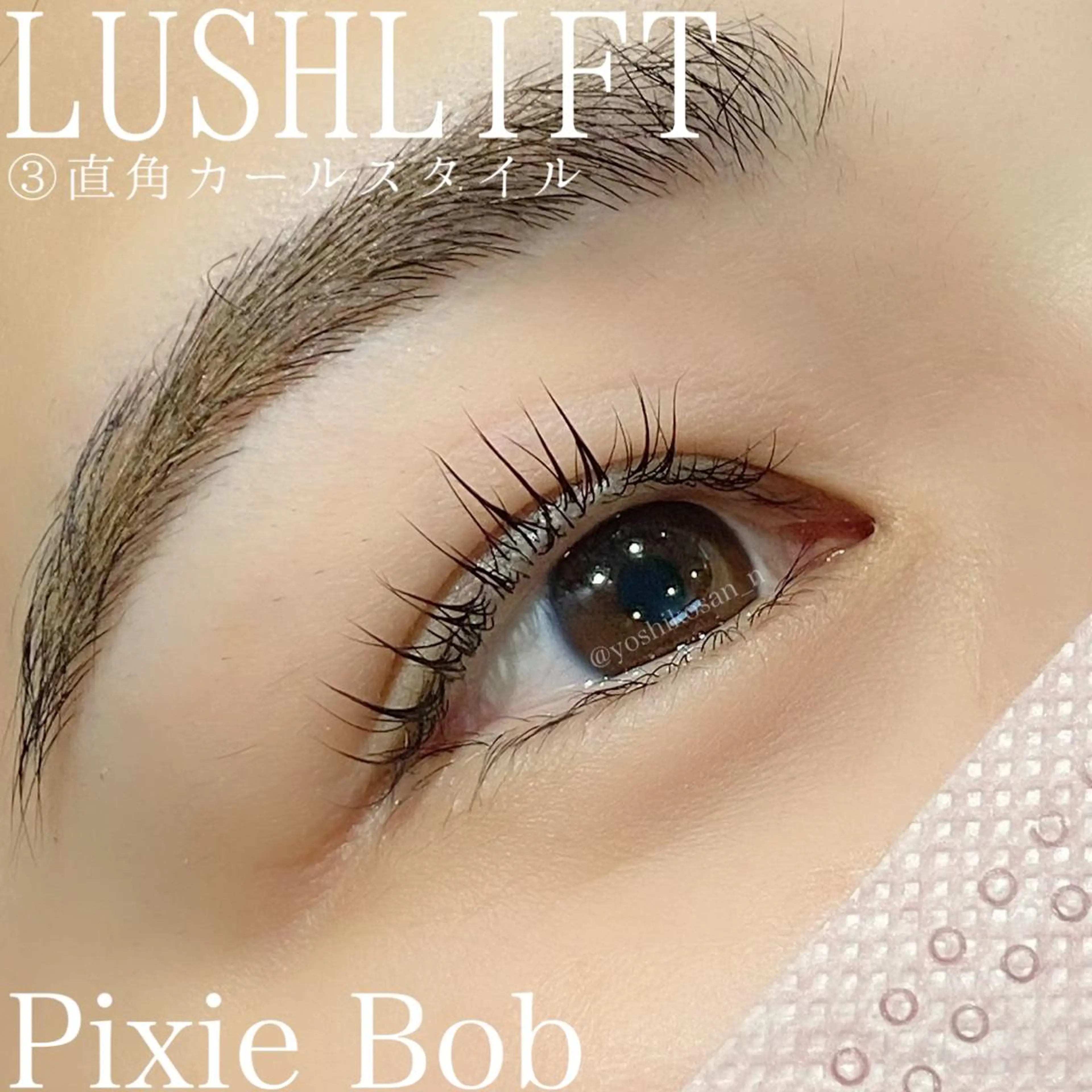 マツエク・マツパ カラーマツエク Pixie Bob 🐈‍⬛　位田のマツエク・マツパデザイン