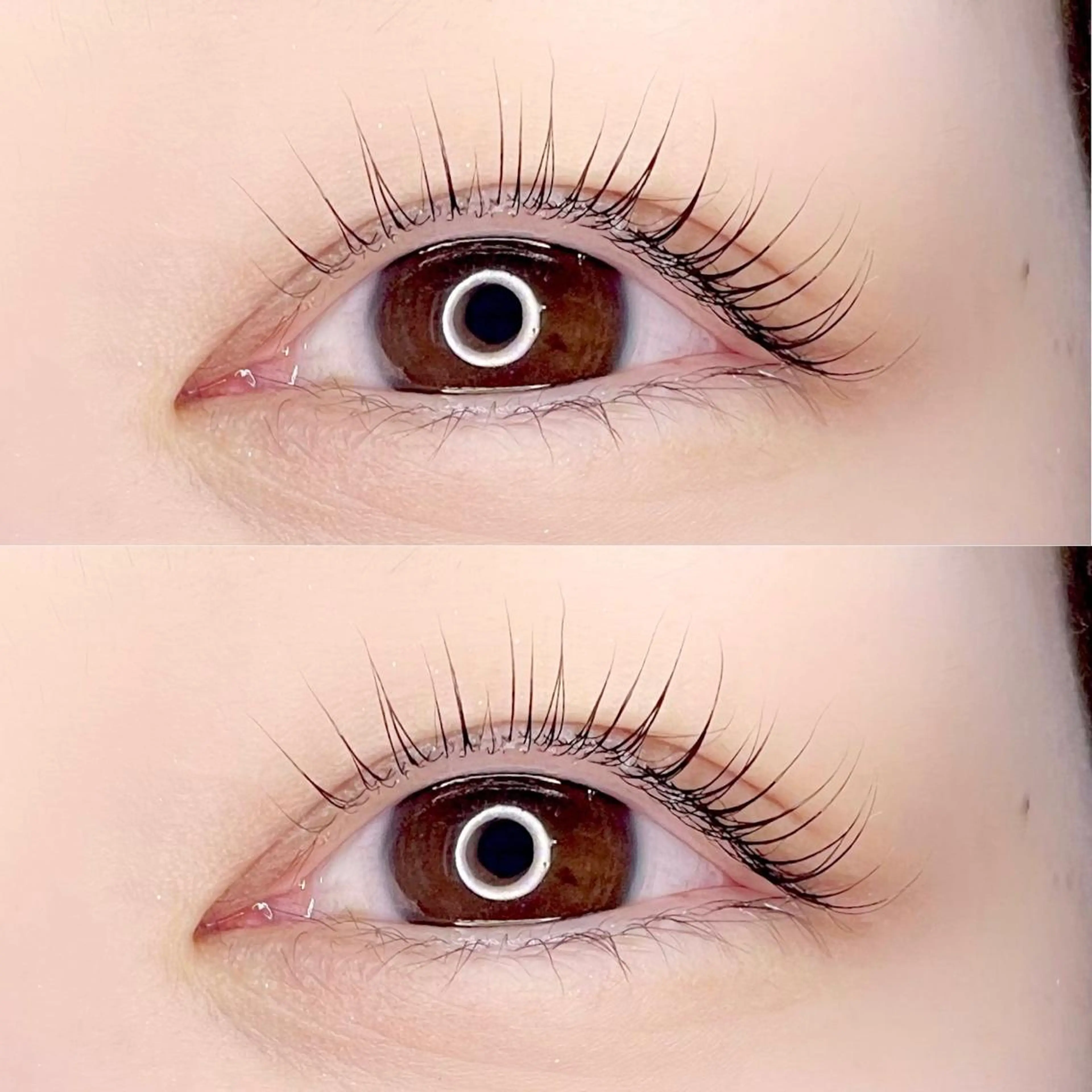 マツエク・マツパ Madonna Lilyのマツエク・マツパデザイン