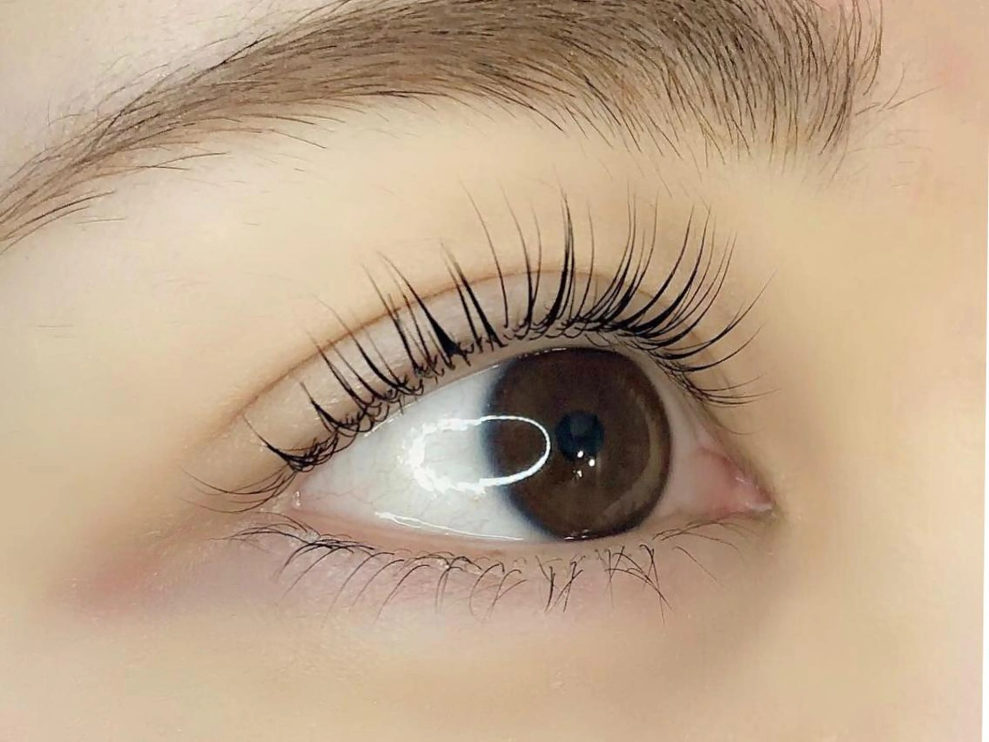 マツエク・マツパ 一重×まつ毛パーマ Mavie アイブロウのマツエク・マツパデザイン