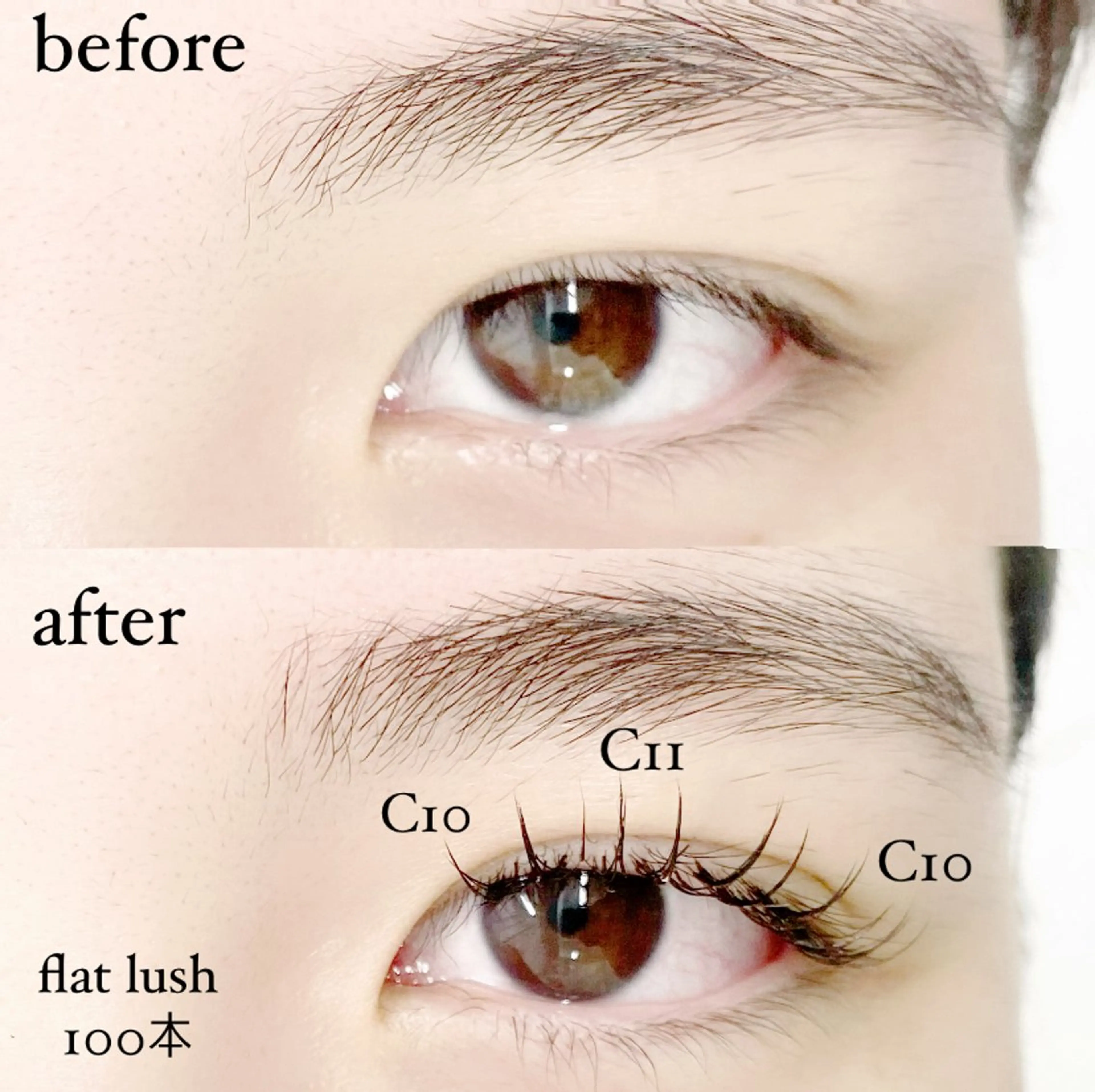 フラットラッシュ100本　🌷補足説明の注意事項必読の写真