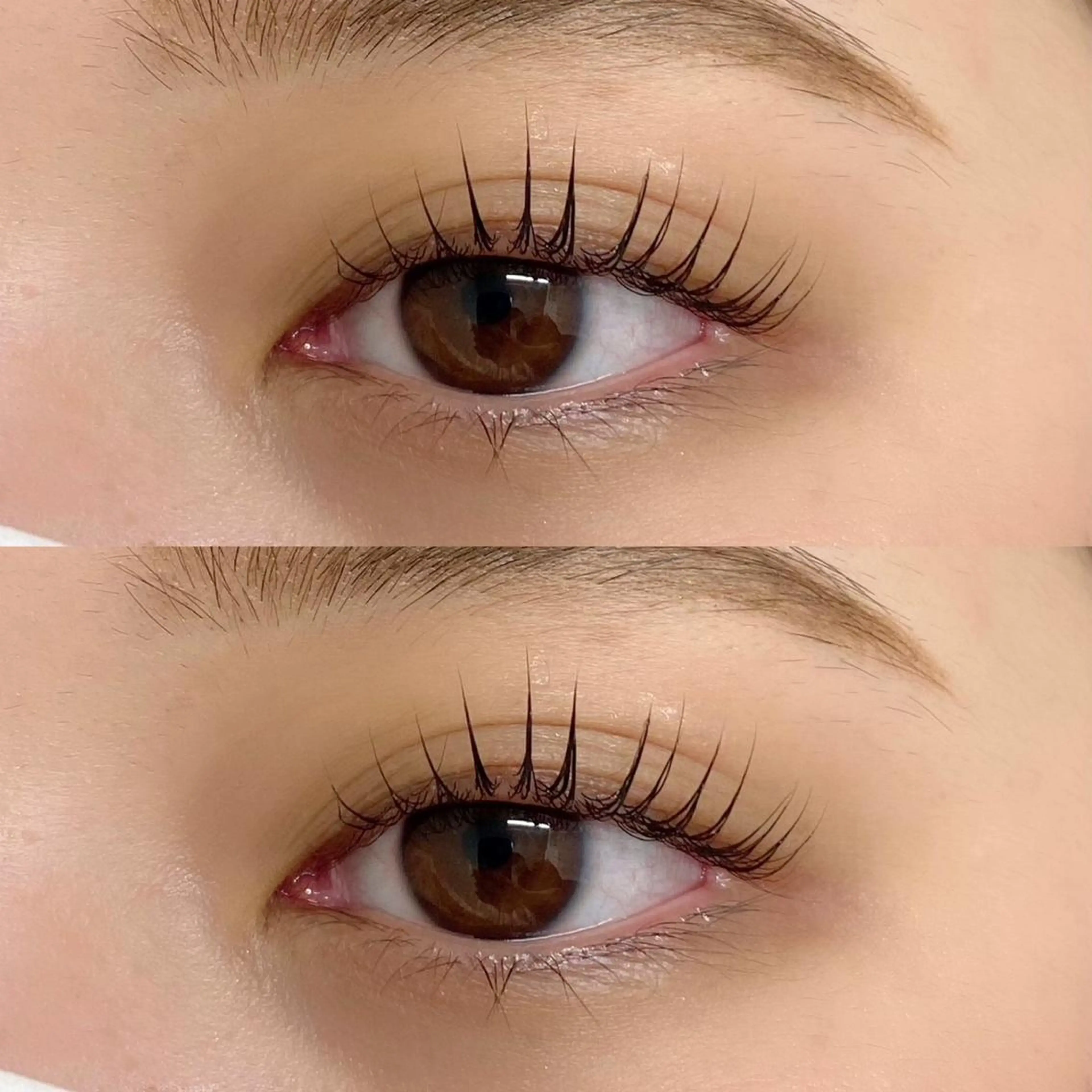 マツエク・マツパ Le Riad 栄 🦋坪内のマツエク・マツパデザイン