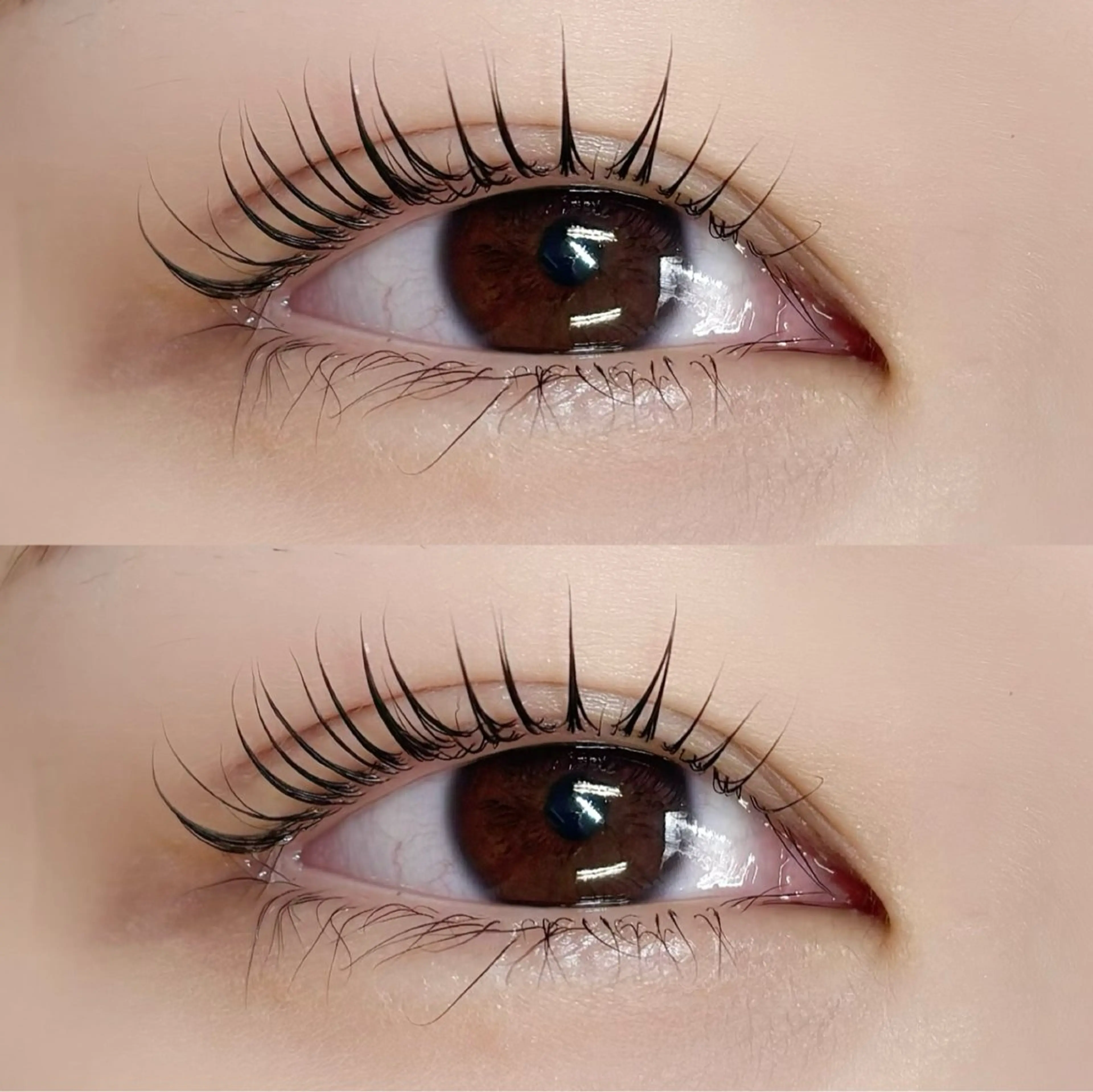 マツエク・マツパ nicott 松山のマツエク・マツパデザイン