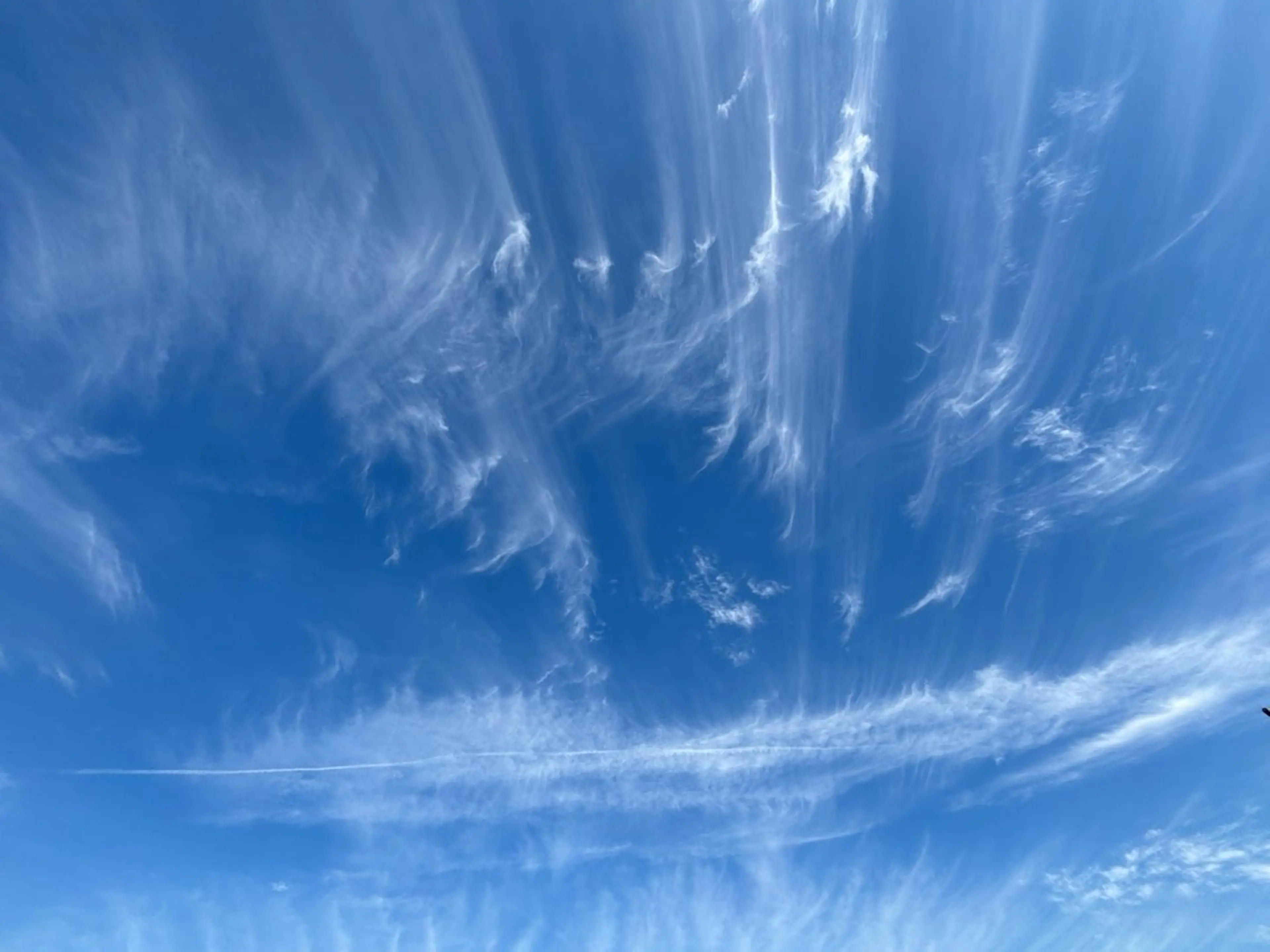 エステ リラク basico のエステ・リラクイメージ