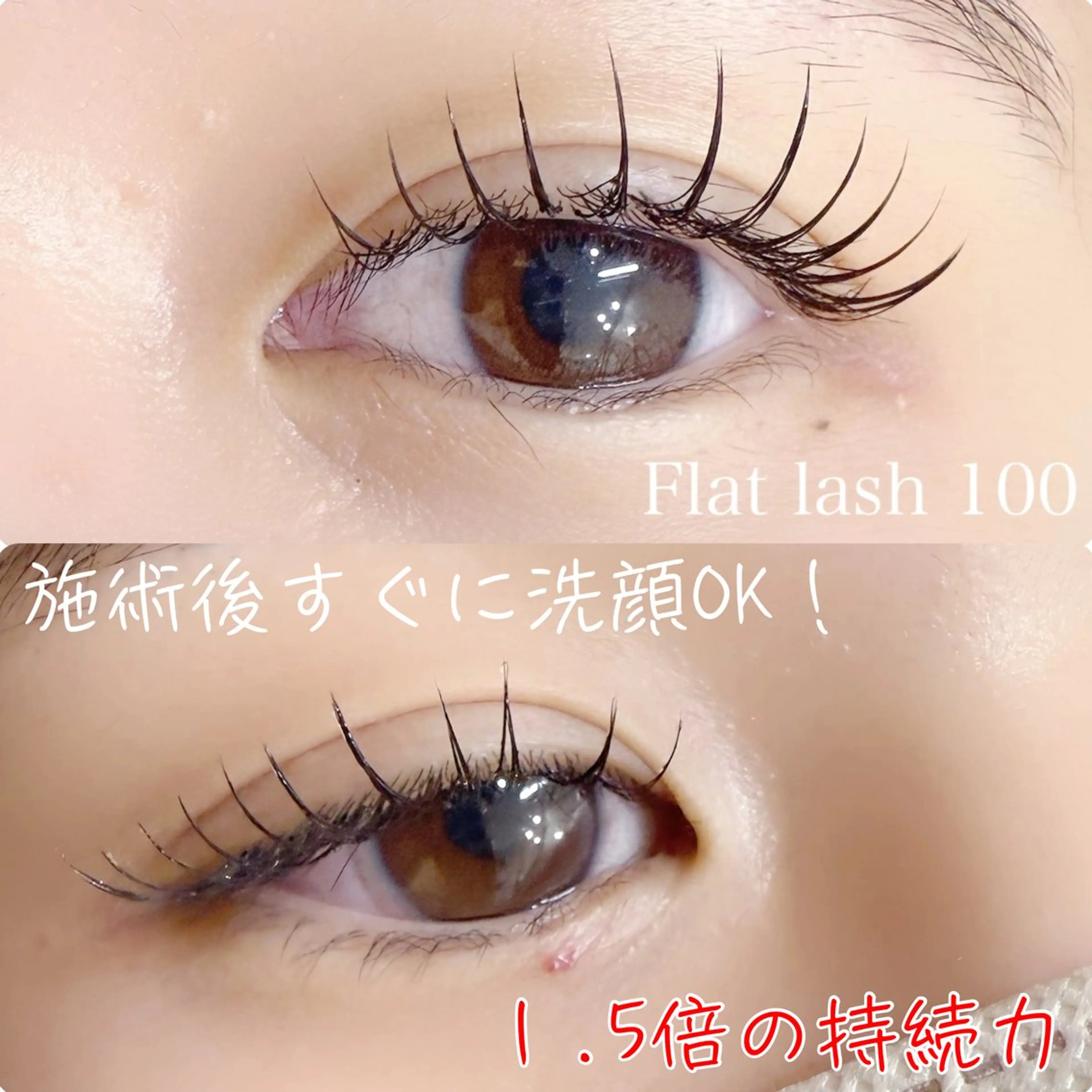 1/13•14残席限定🧡LEDフラットラッシュ80本の写真