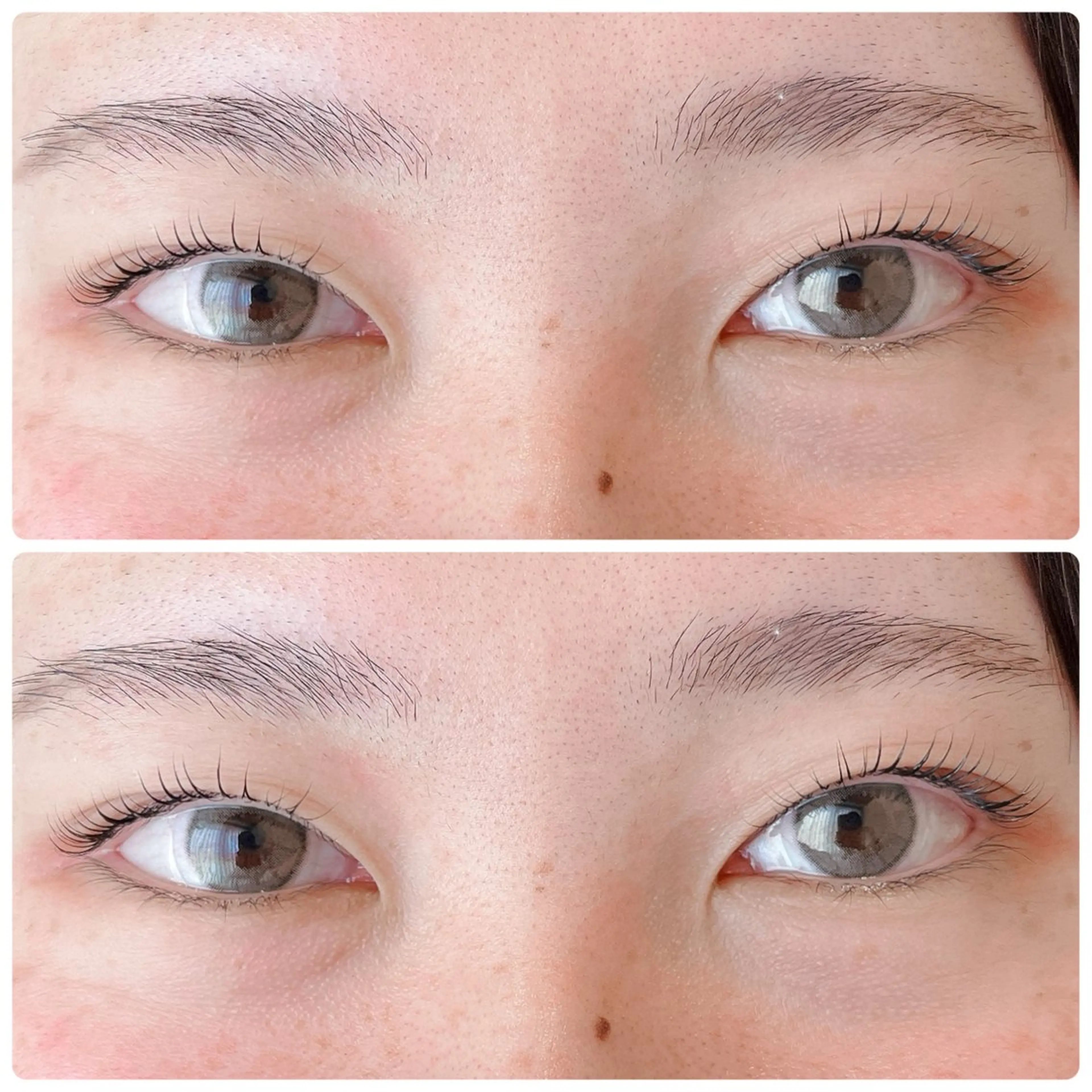 マツエク・マツパ まつげパーマ 渋谷 志保の眉毛・アイブロウイメージ