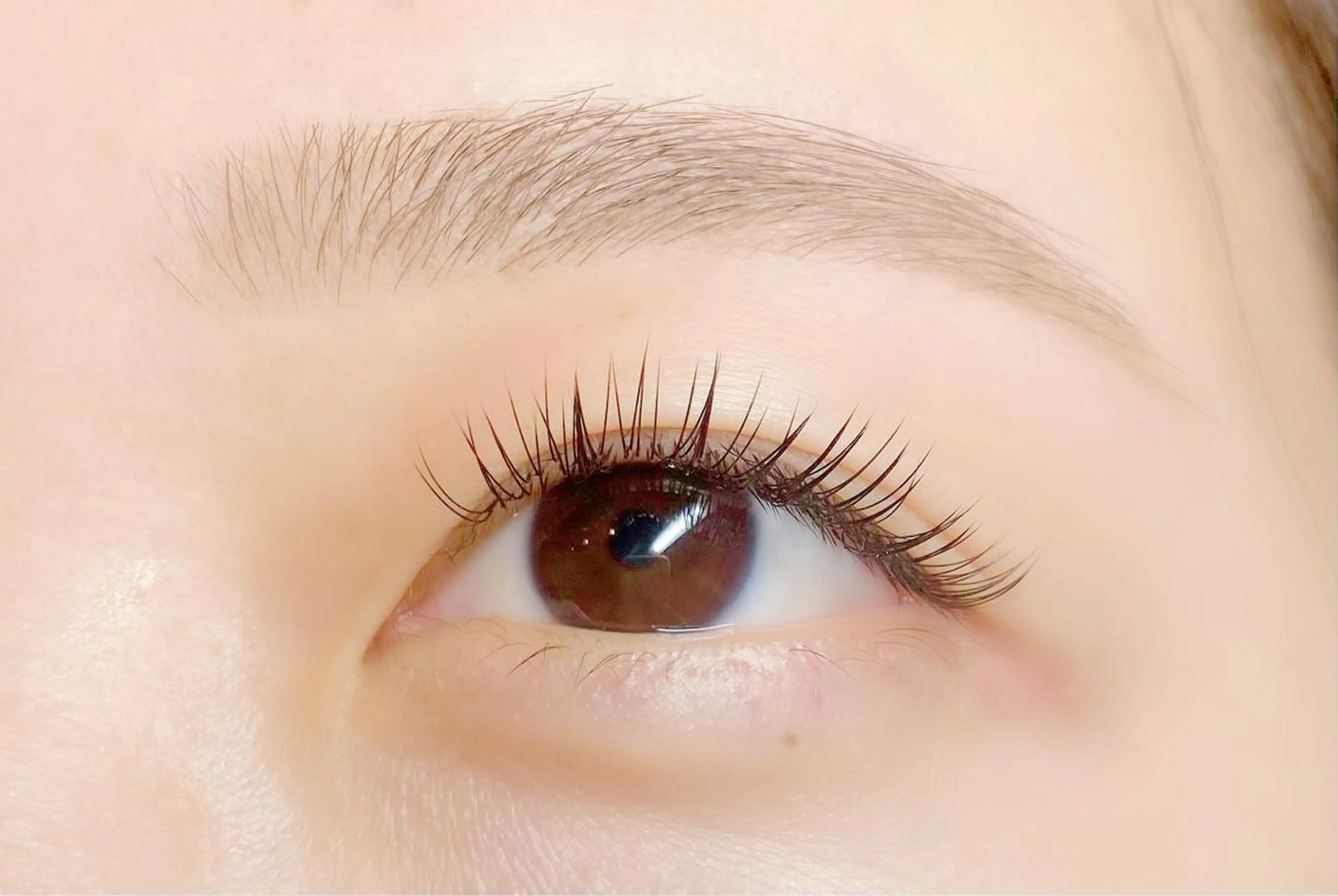 マツエク・マツパ CITRON ⭐︎のマツエク・マツパデザイン