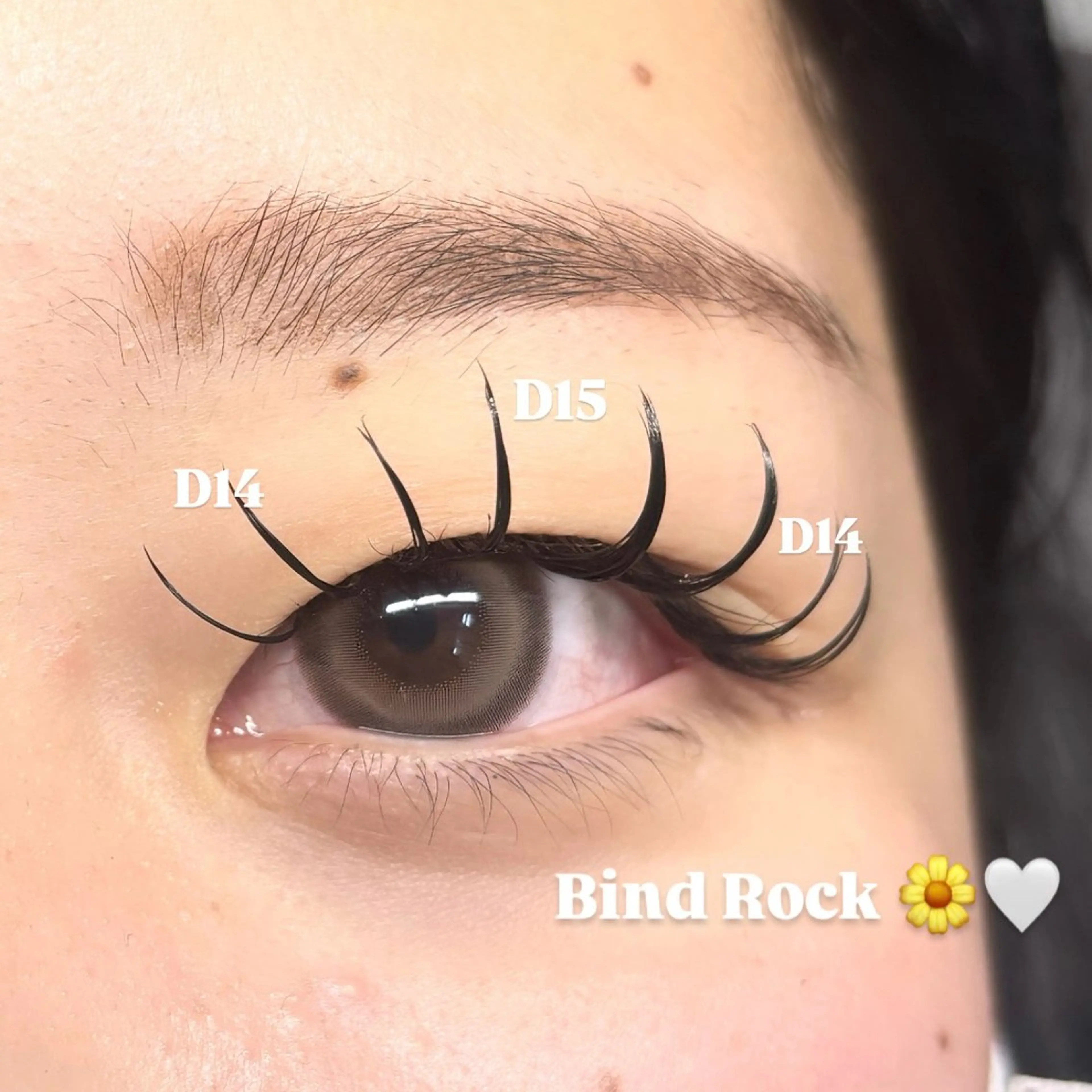 バインドロック(タブルフラット)120束🎀の写真