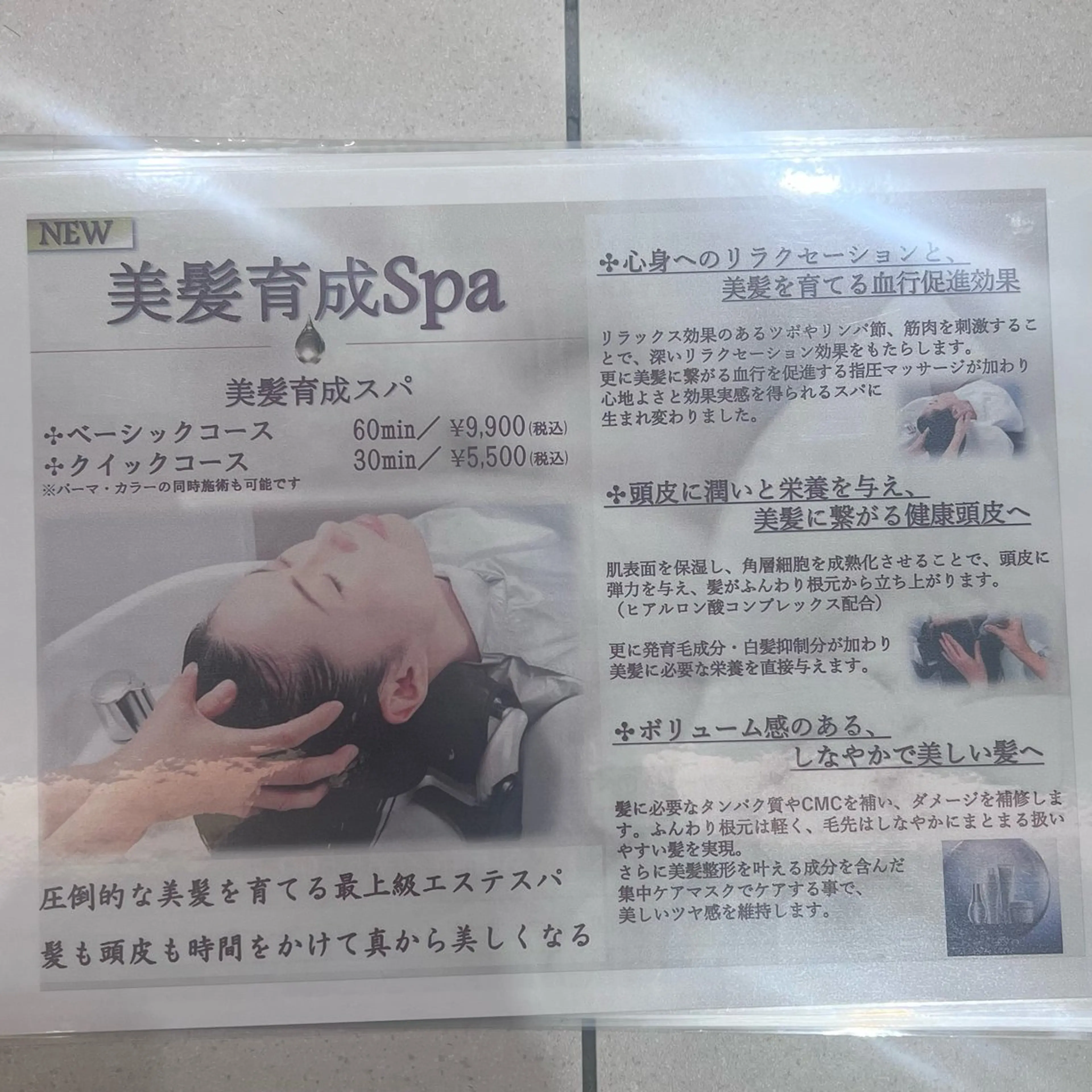 🕊️美髪ヘッドスパ30分🕊️シャンプー＆ブロー込 直前1時間前までのご予約をお願いいたします。の写真