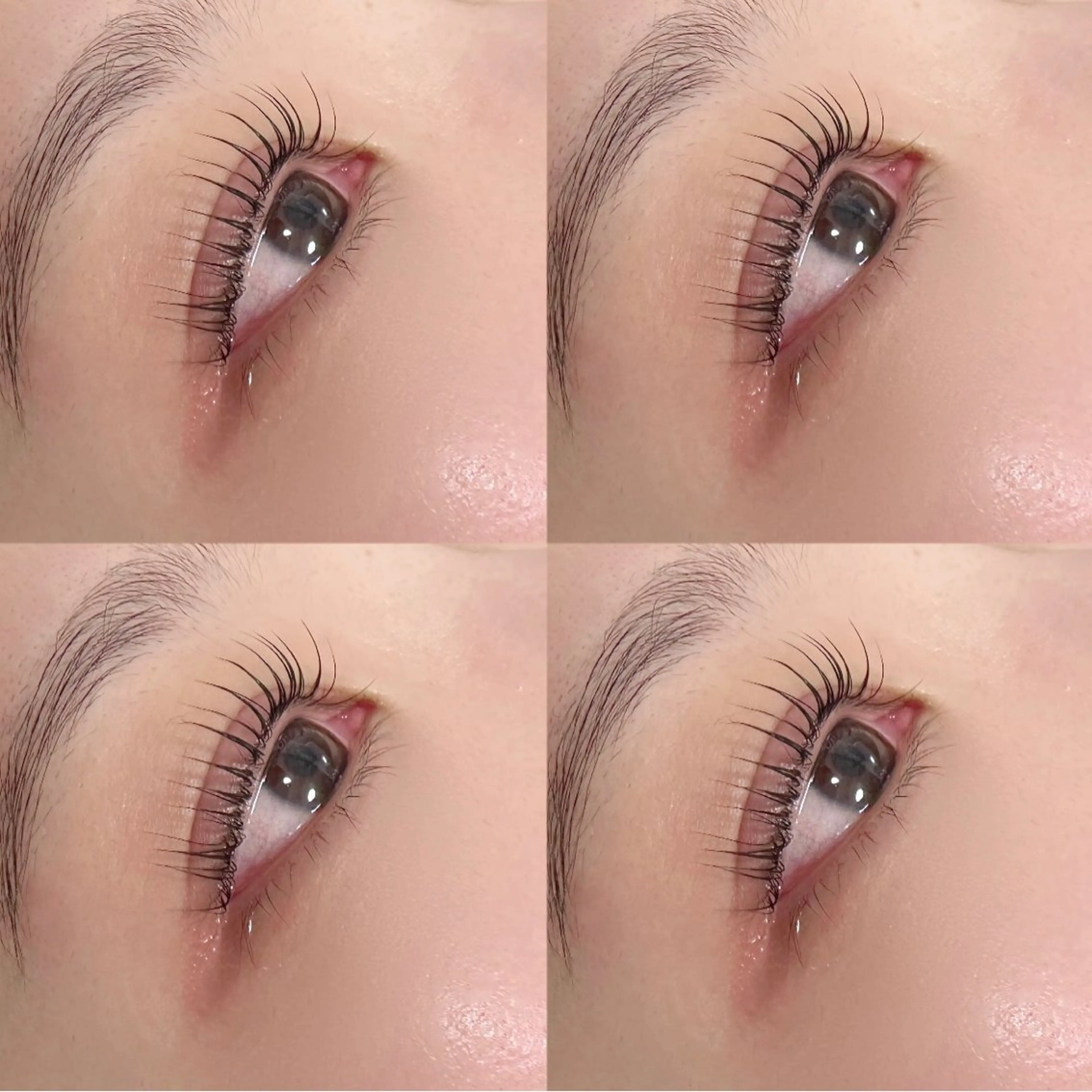 マツエク・マツパ マツパ Laule'a  by pickup所属・山田 未来の眉毛・アイブロウイメージ