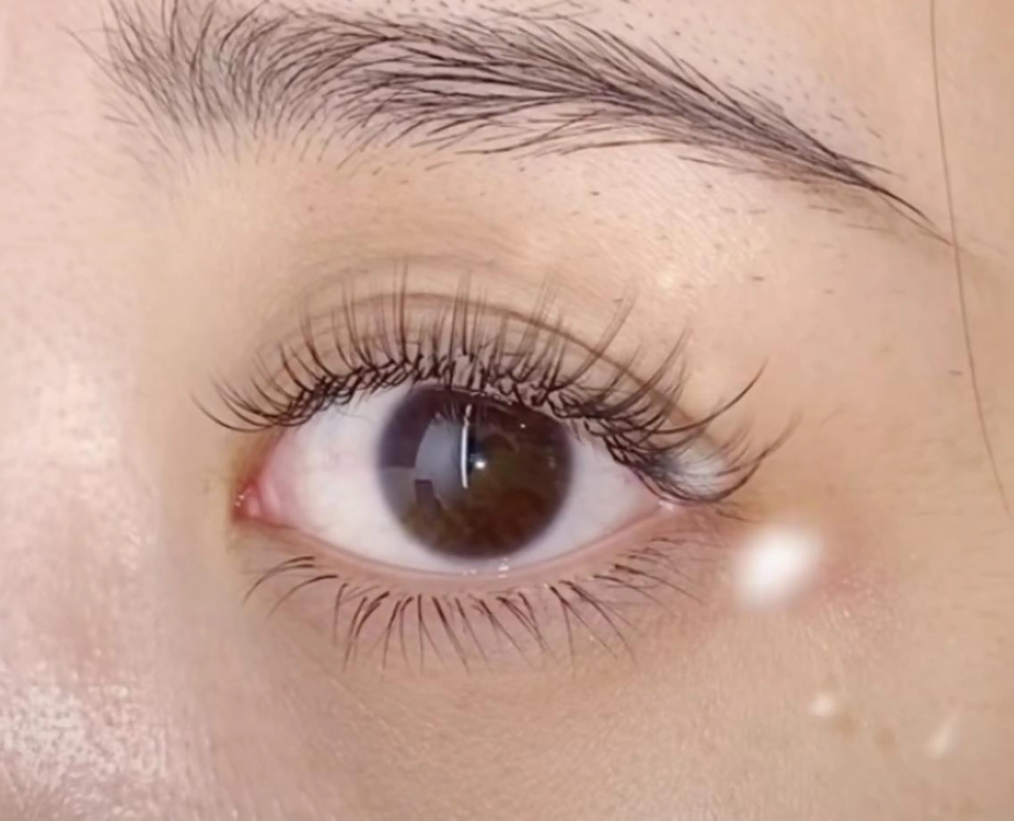 マツエク・マツパ Cute beauty2のマツエク・マツパデザイン