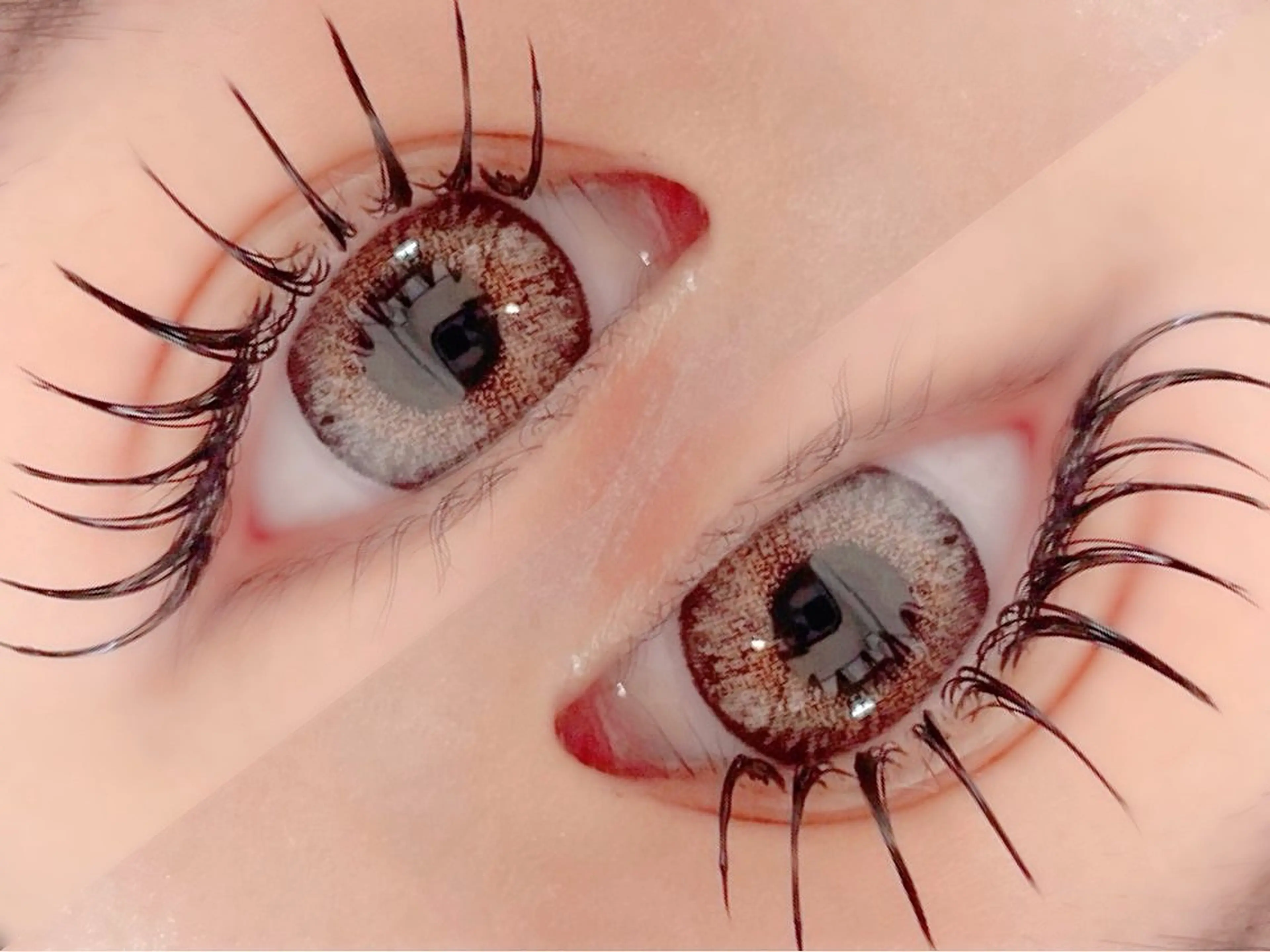 モデル【12月22.24日限定】限定フラットラッシュ上つけ放題の写真