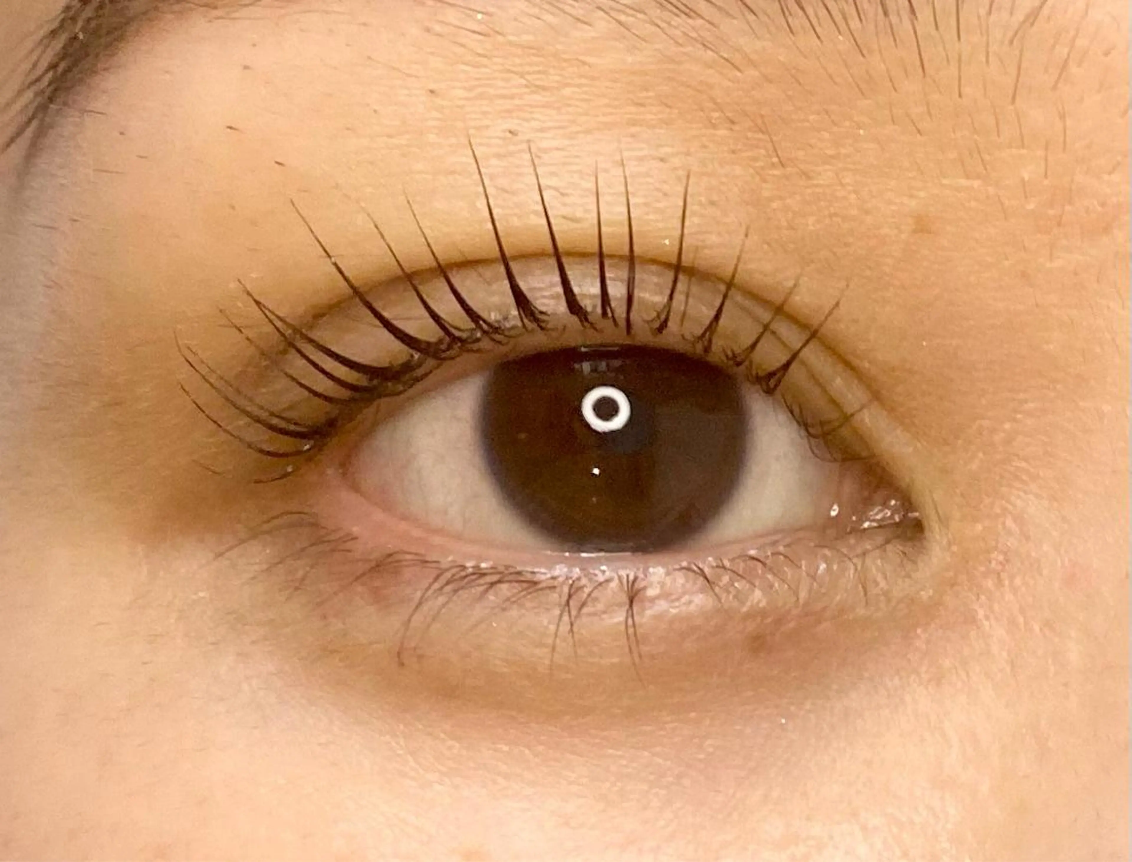 マツエク・マツパ マツパ Chisato🤍池 袋/マツパ/マツエクのマツエク・マツパデザイン