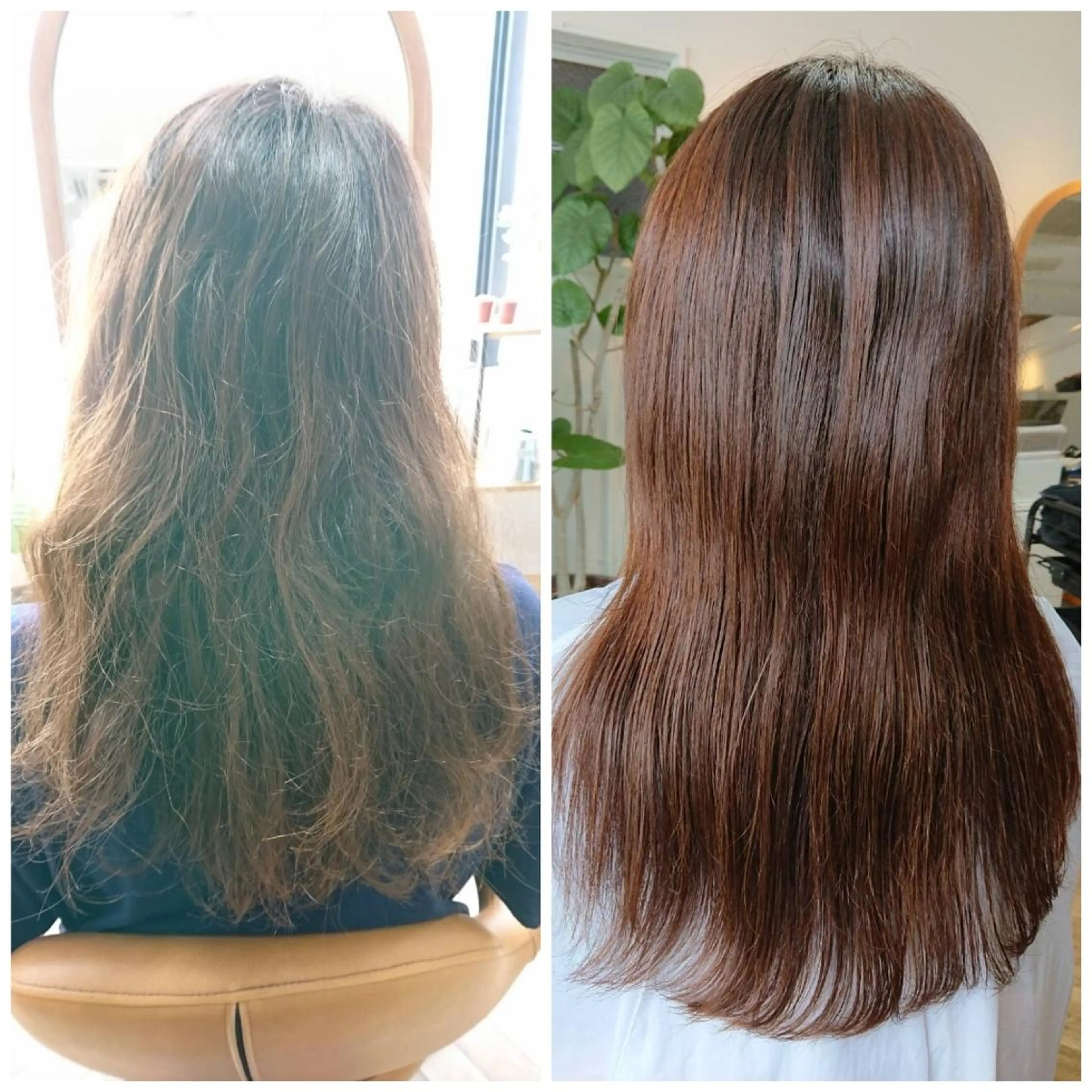 パーマ 縮毛矯正 中野 雅子のヘアスタイル