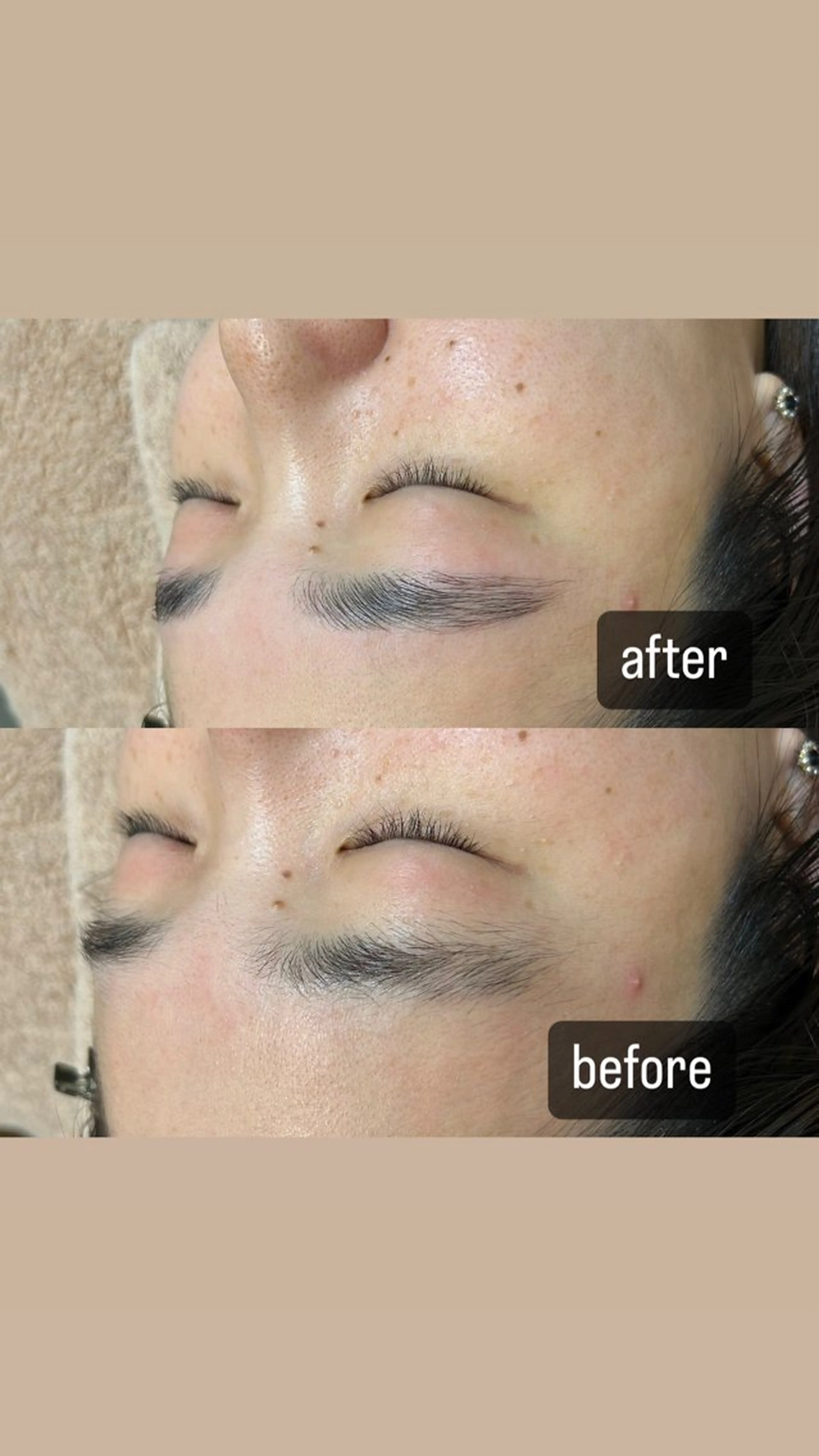 アイブロウ ハリウッドブロウリフト petitchou eyelashのマツエク・マツパデザイン