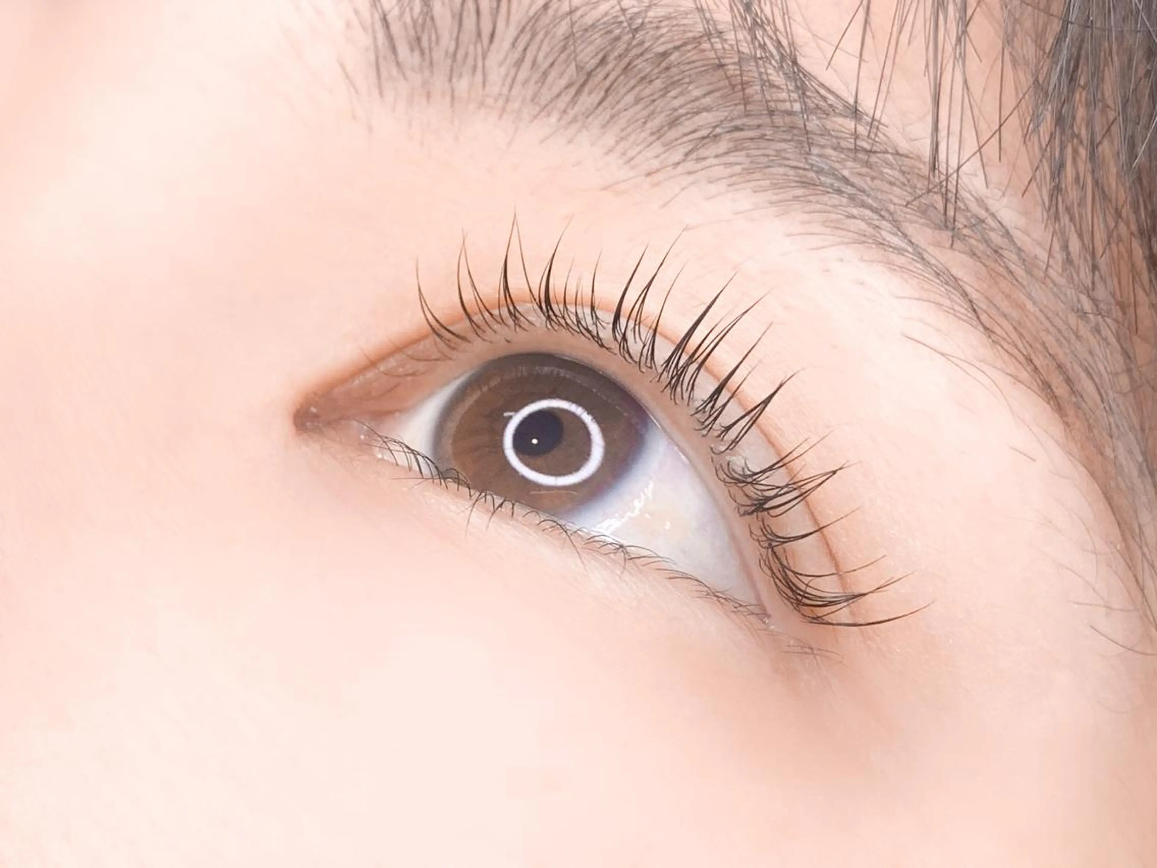 マツエク・マツパ mafola 万代店のマツエク・マツパデザイン