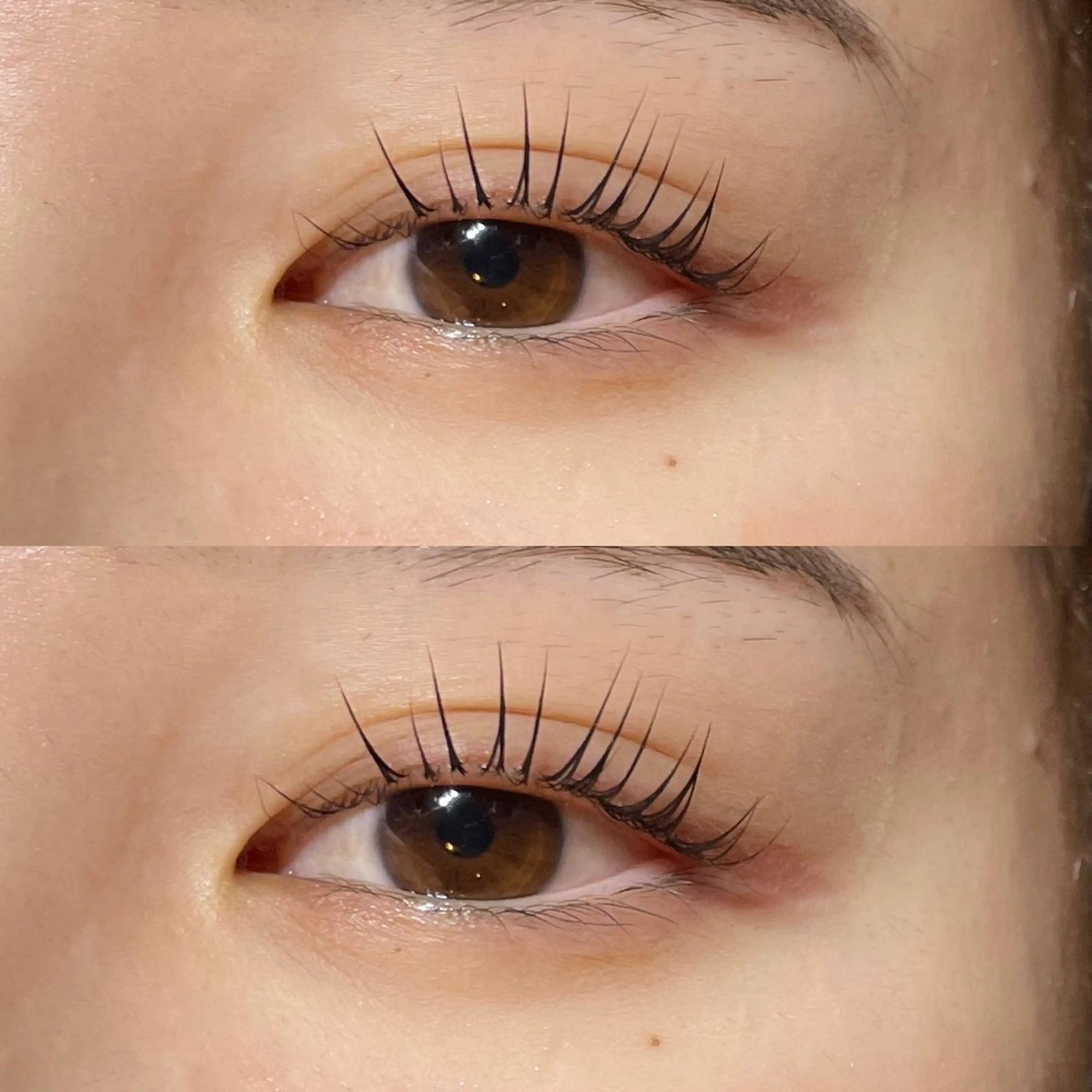 マツエク・マツパ パリジェンヌラッシュリフト scarlet asahiのマツエク・マツパデザイン