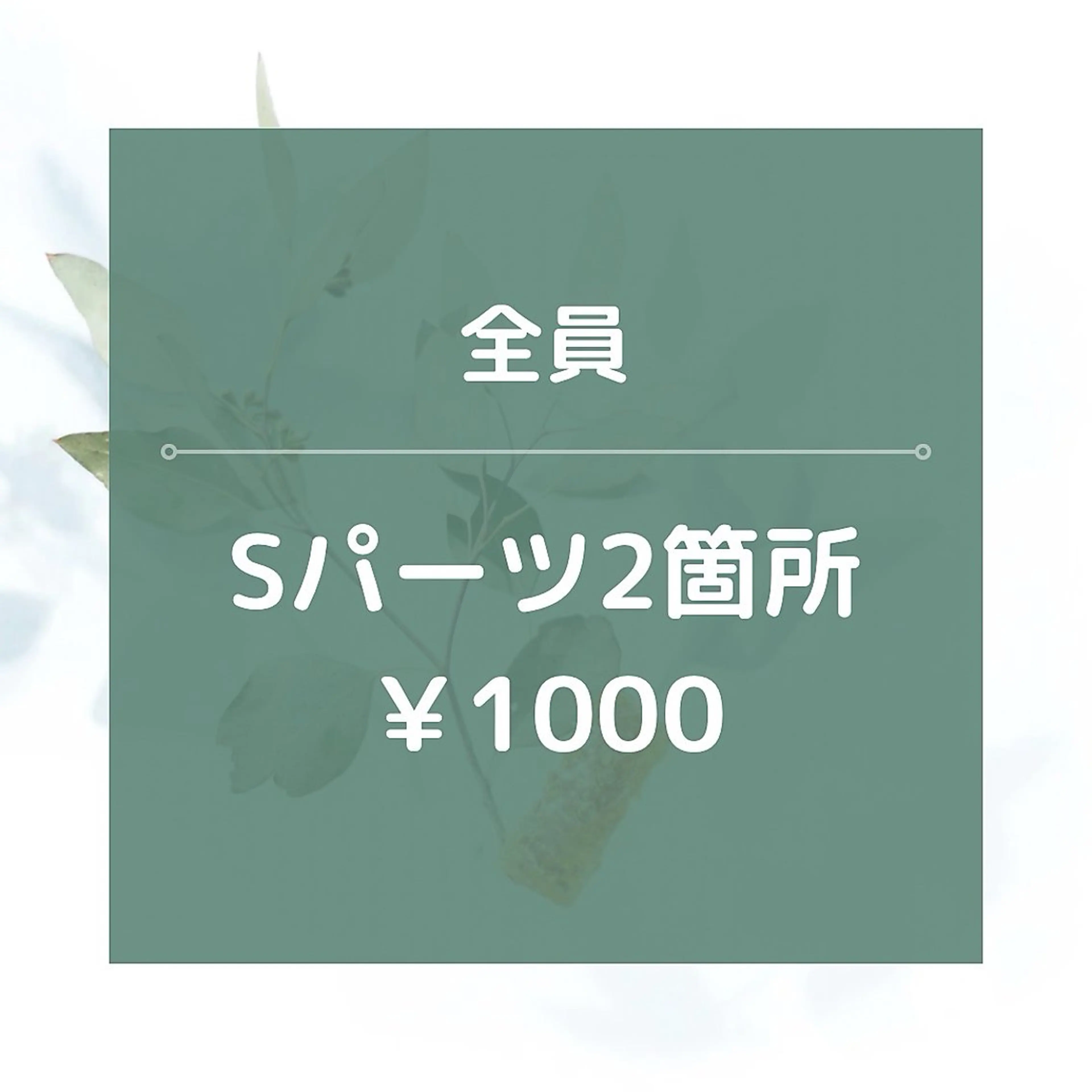 【男女OK】Sパーツ2箇所/¥1000☆★15分の写真