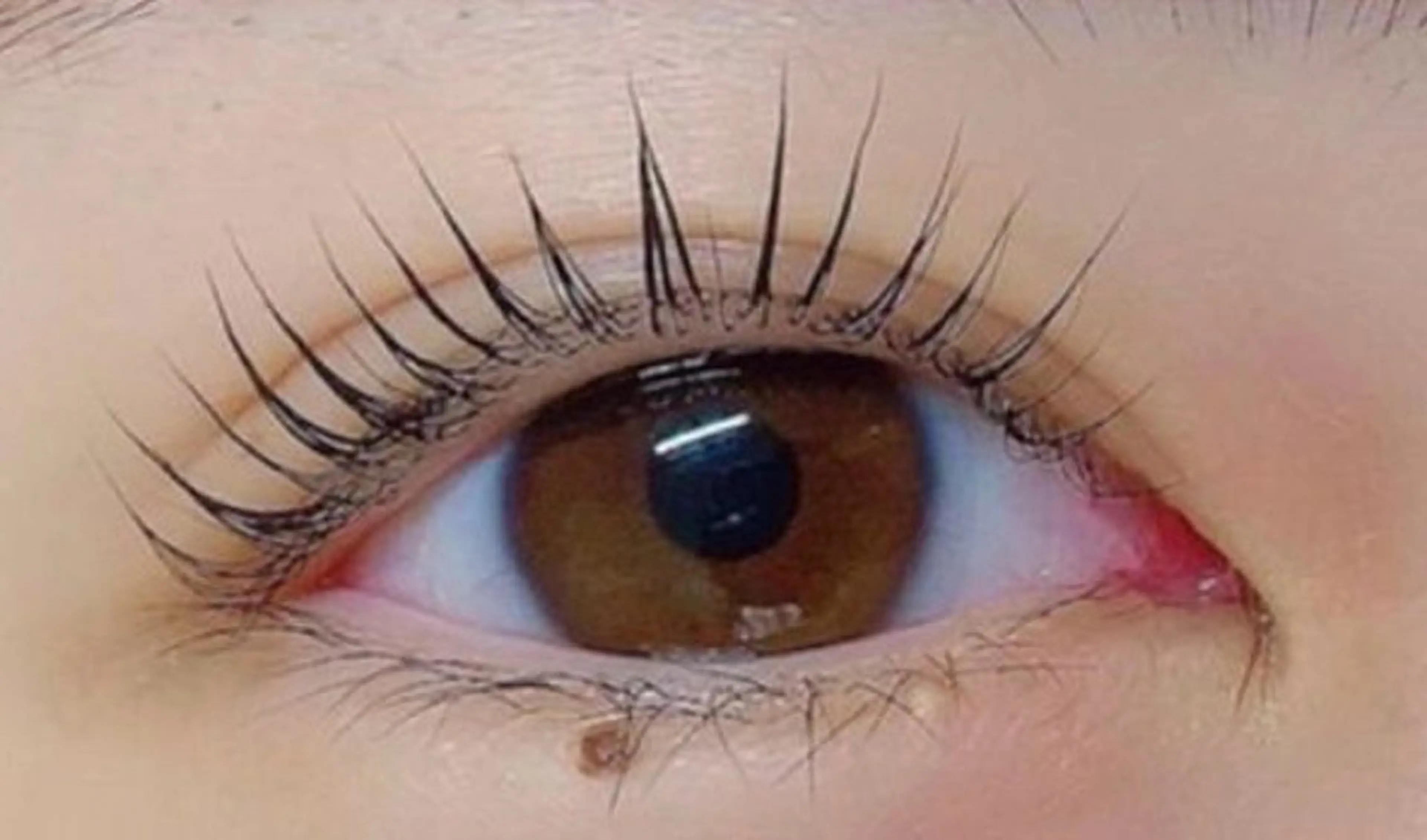 マツエク・マツパ マツパ ⭐️menoa 加古川店⭐️のマツエク・マツパデザイン