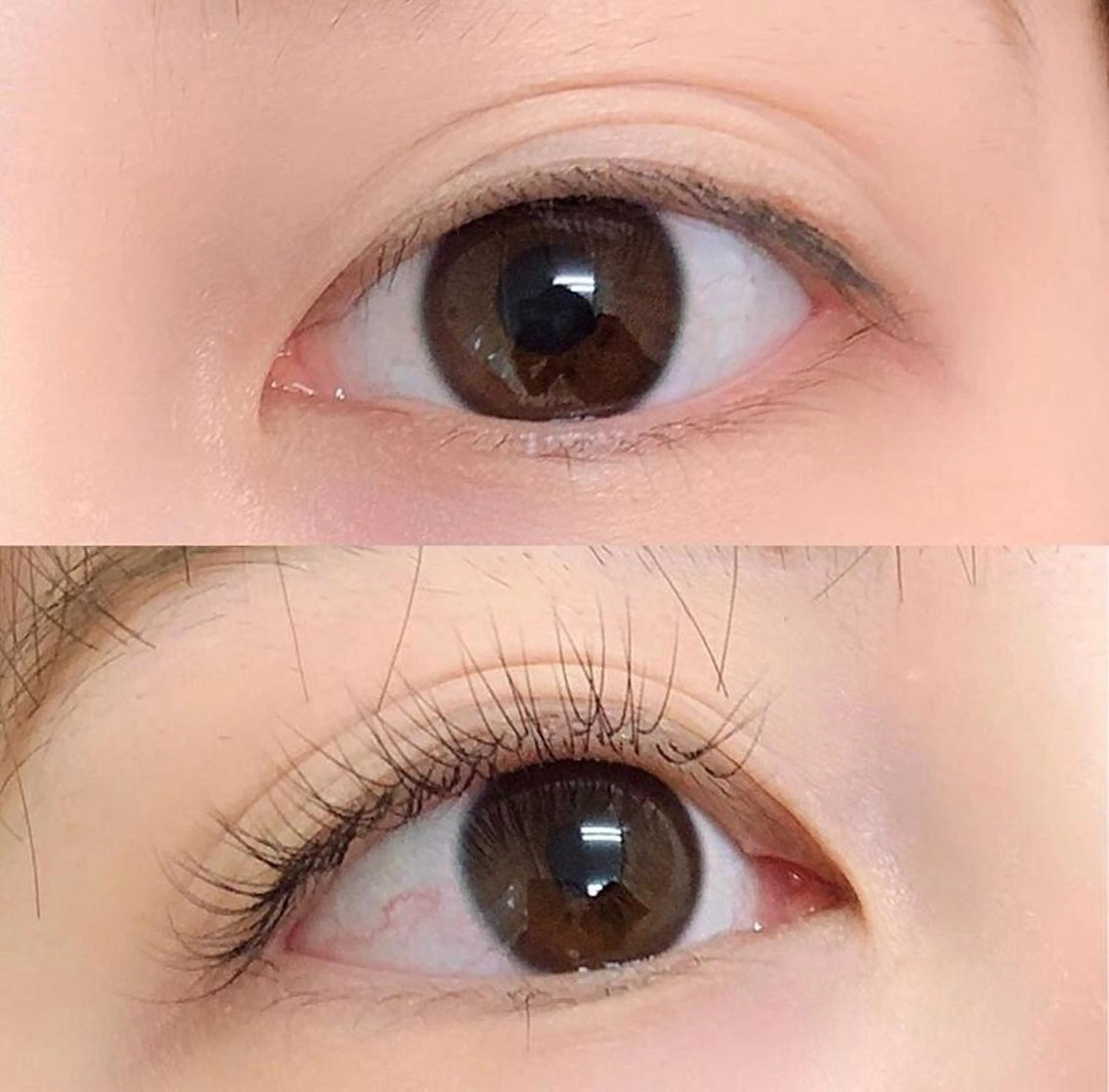 マツエク・マツパ 水 田のマツエク・マツパデザイン